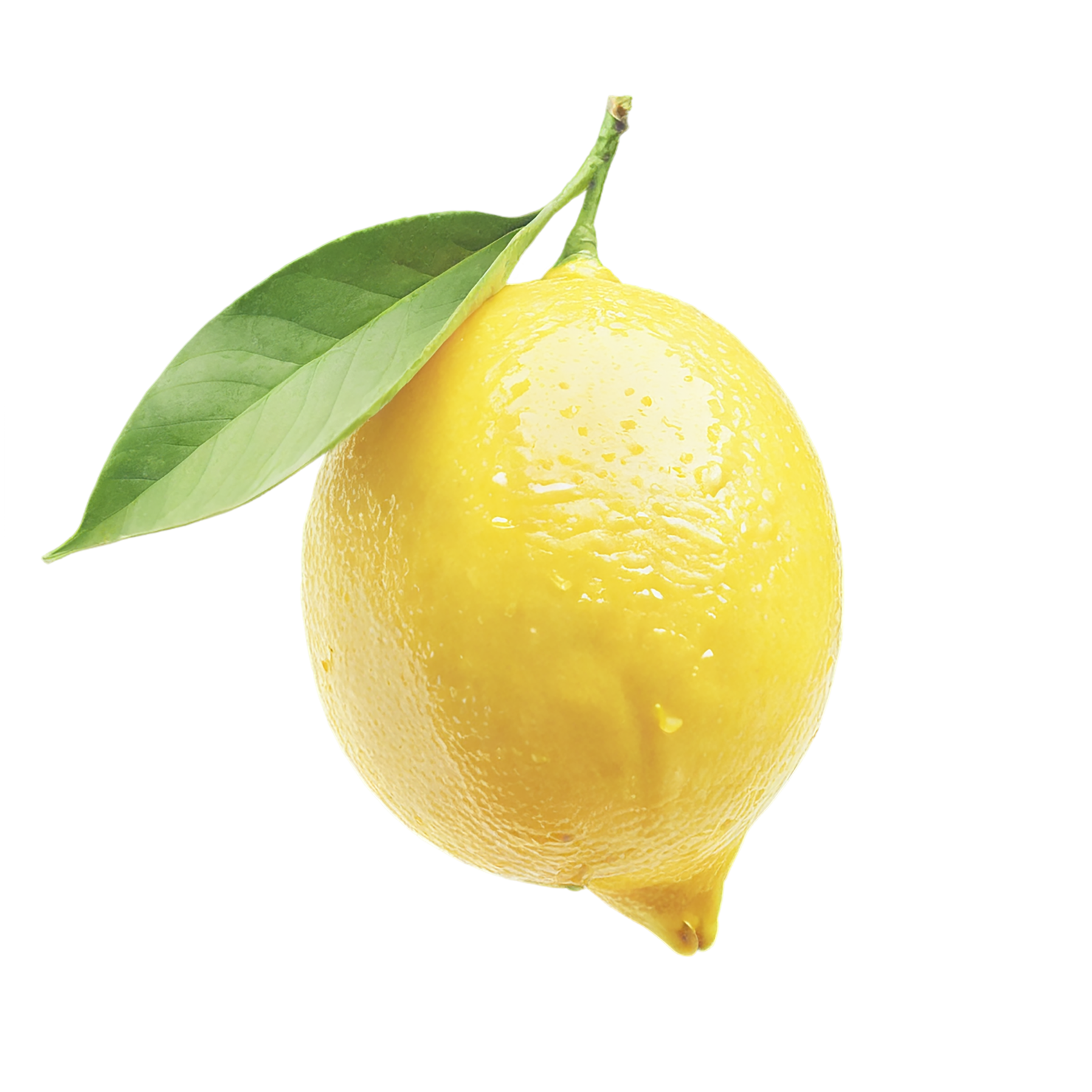 Lemon fruit isolated on transparent background #907