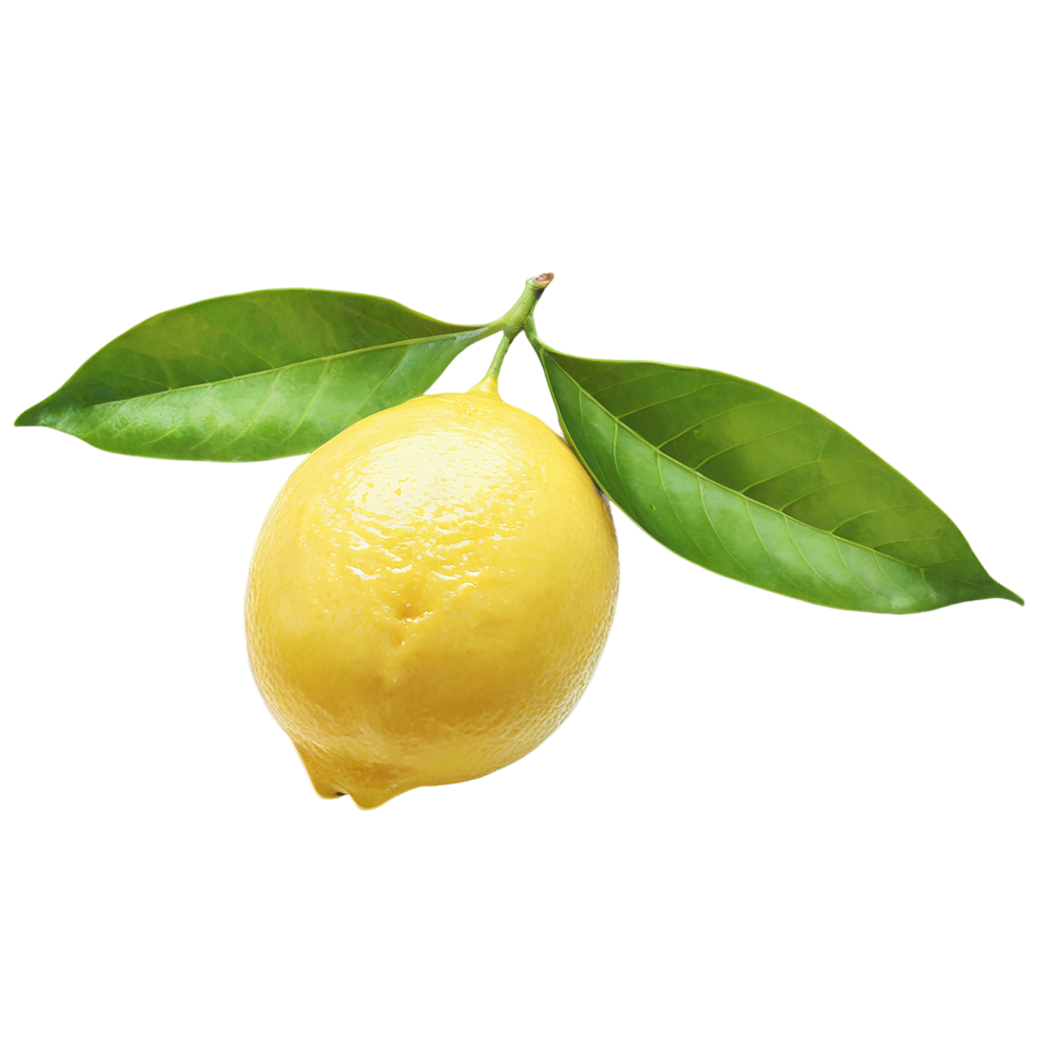 Lemon fruit isolated on transparent background #908