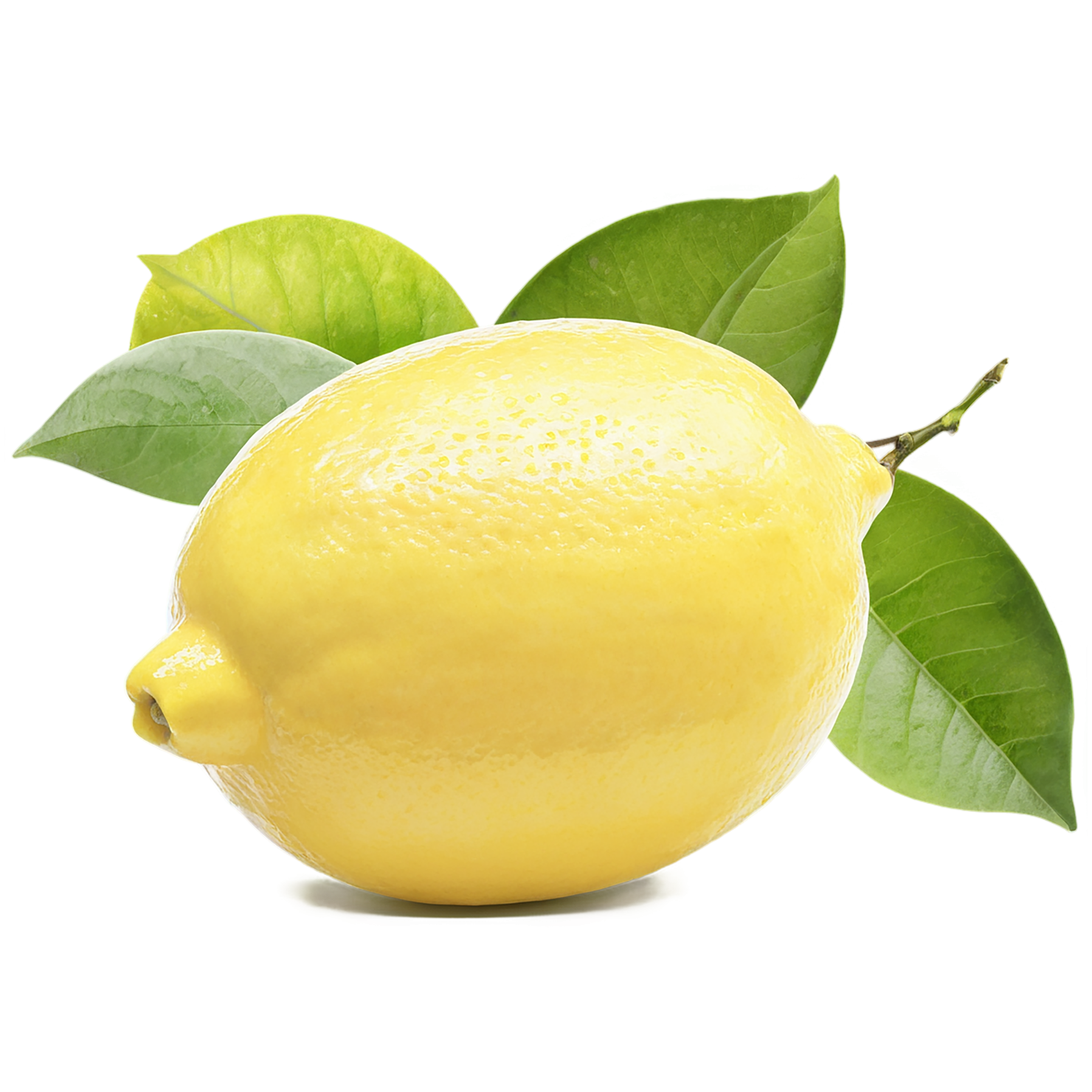 Lemon fruit isolated on transparent background #921