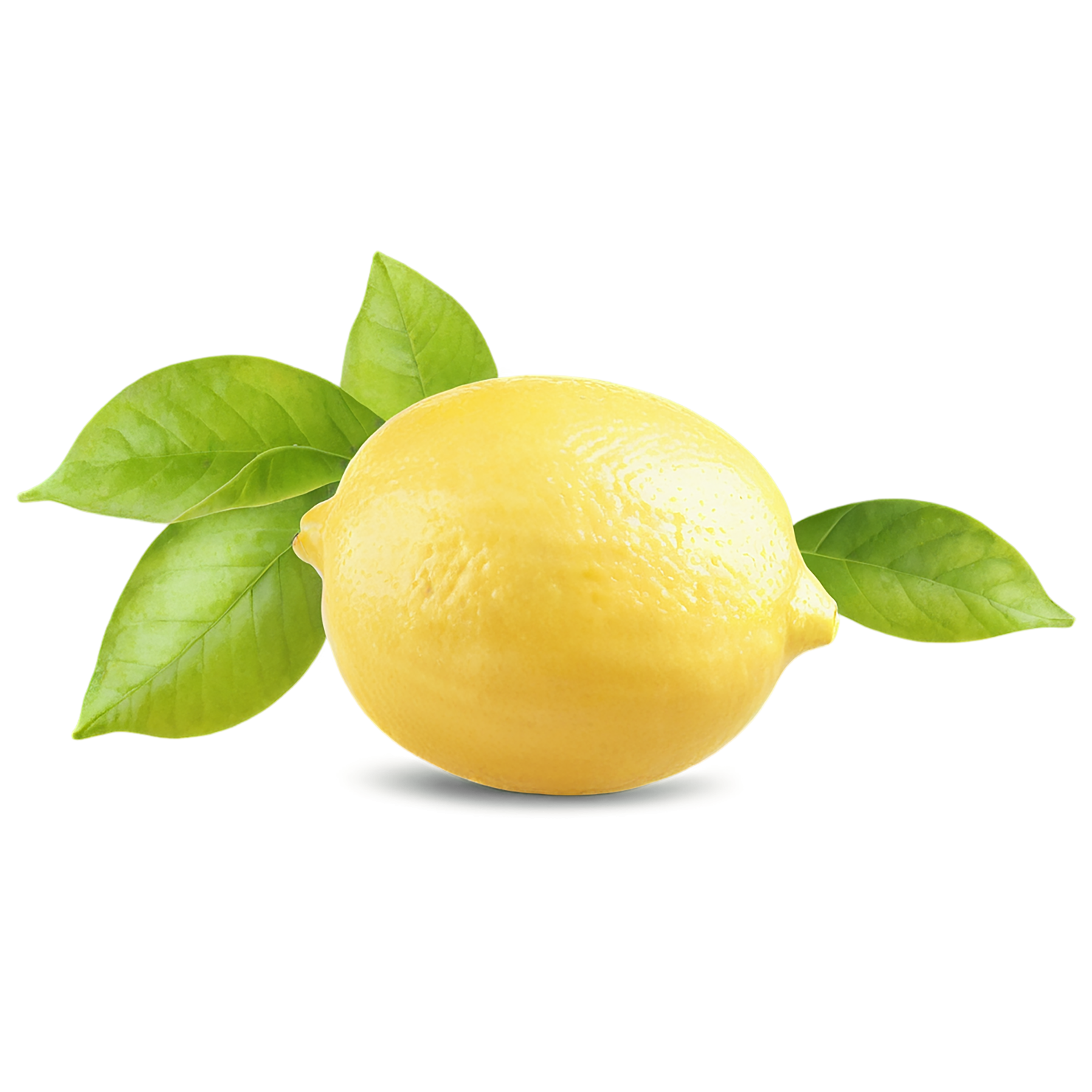 Lemon fruit isolated on transparent background #923