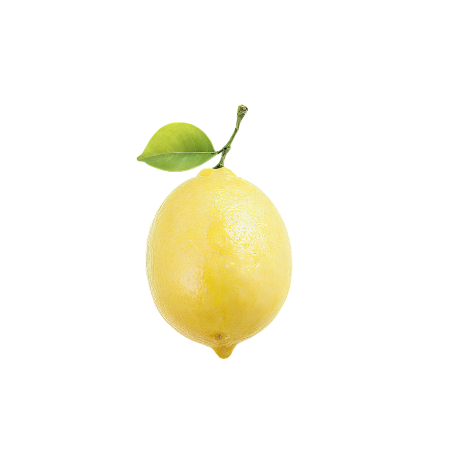 Lemon fruit isolated on transparent background #927