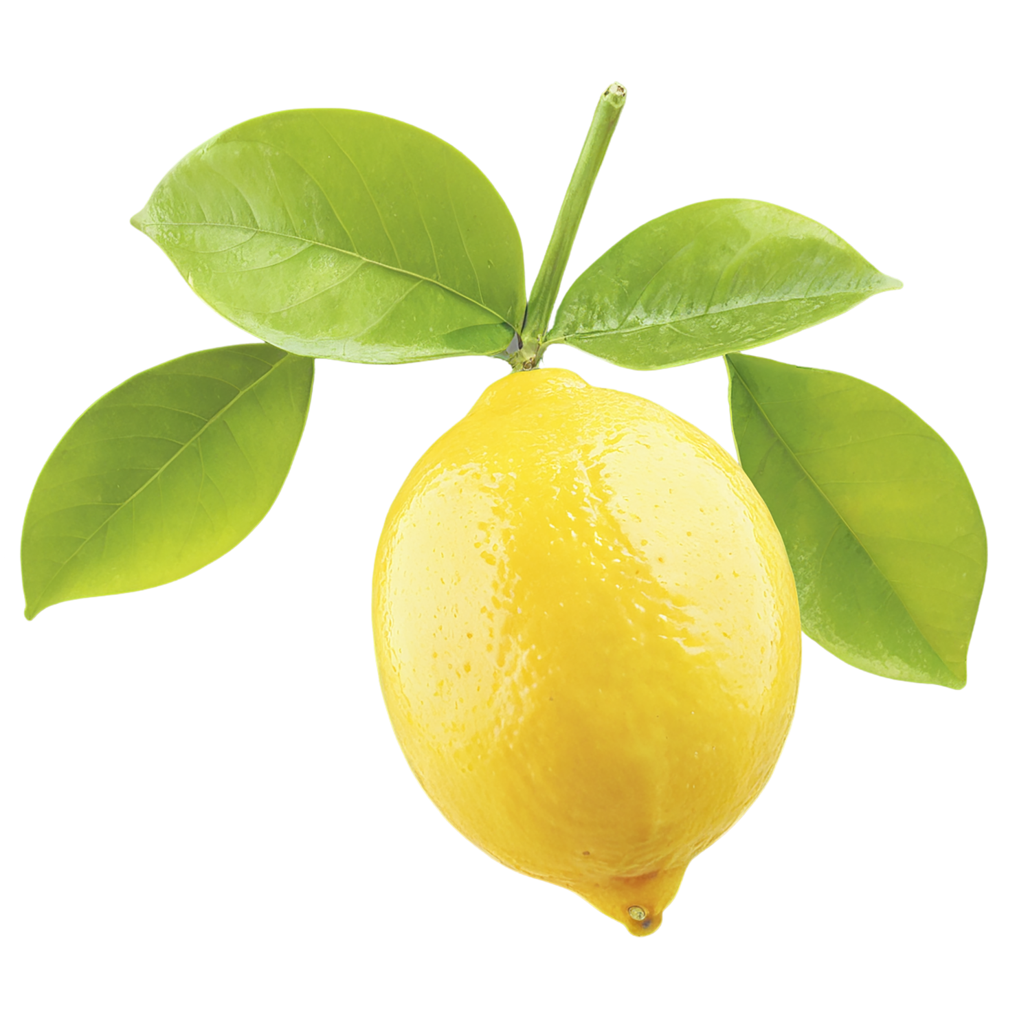 Lemon fruit isolated on transparent background #930