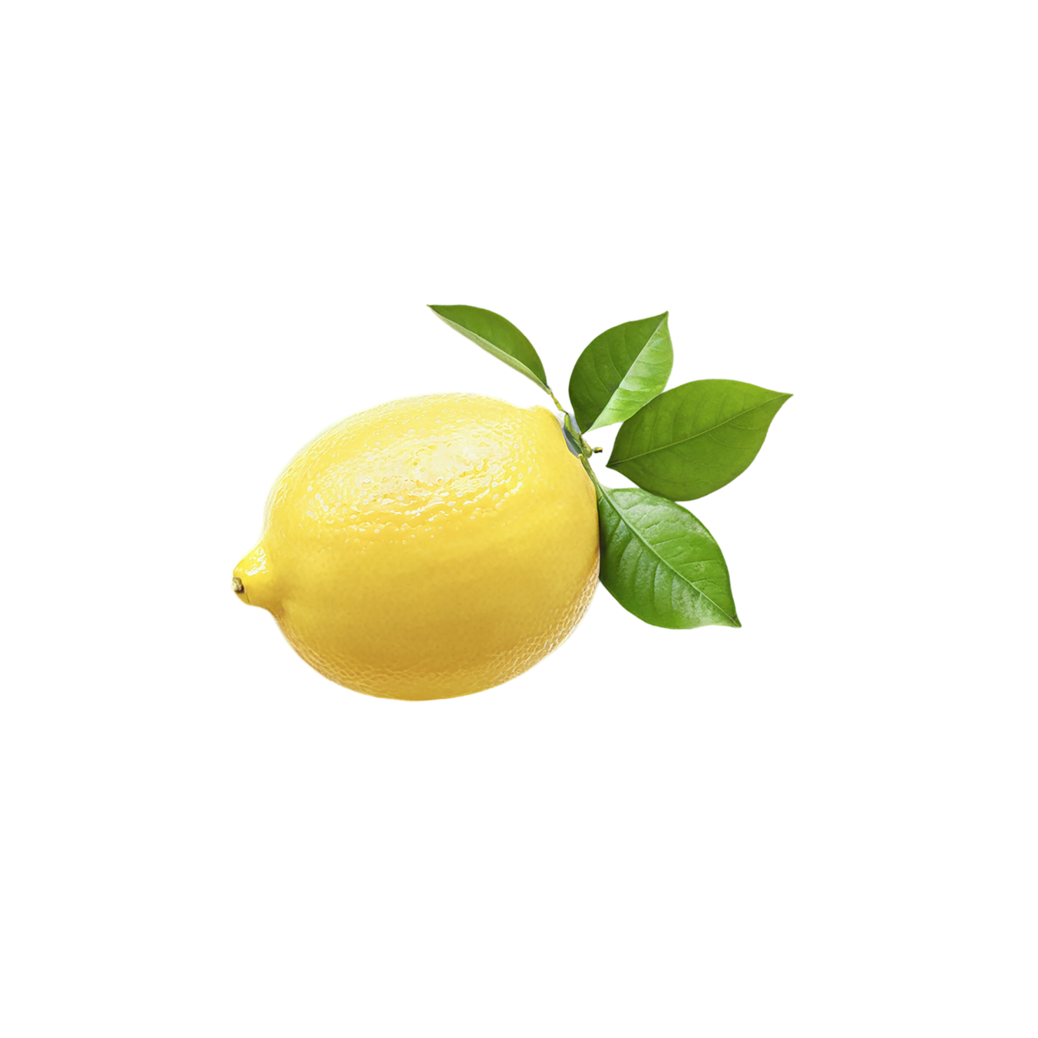 Lemon fruit isolated on transparent background #936