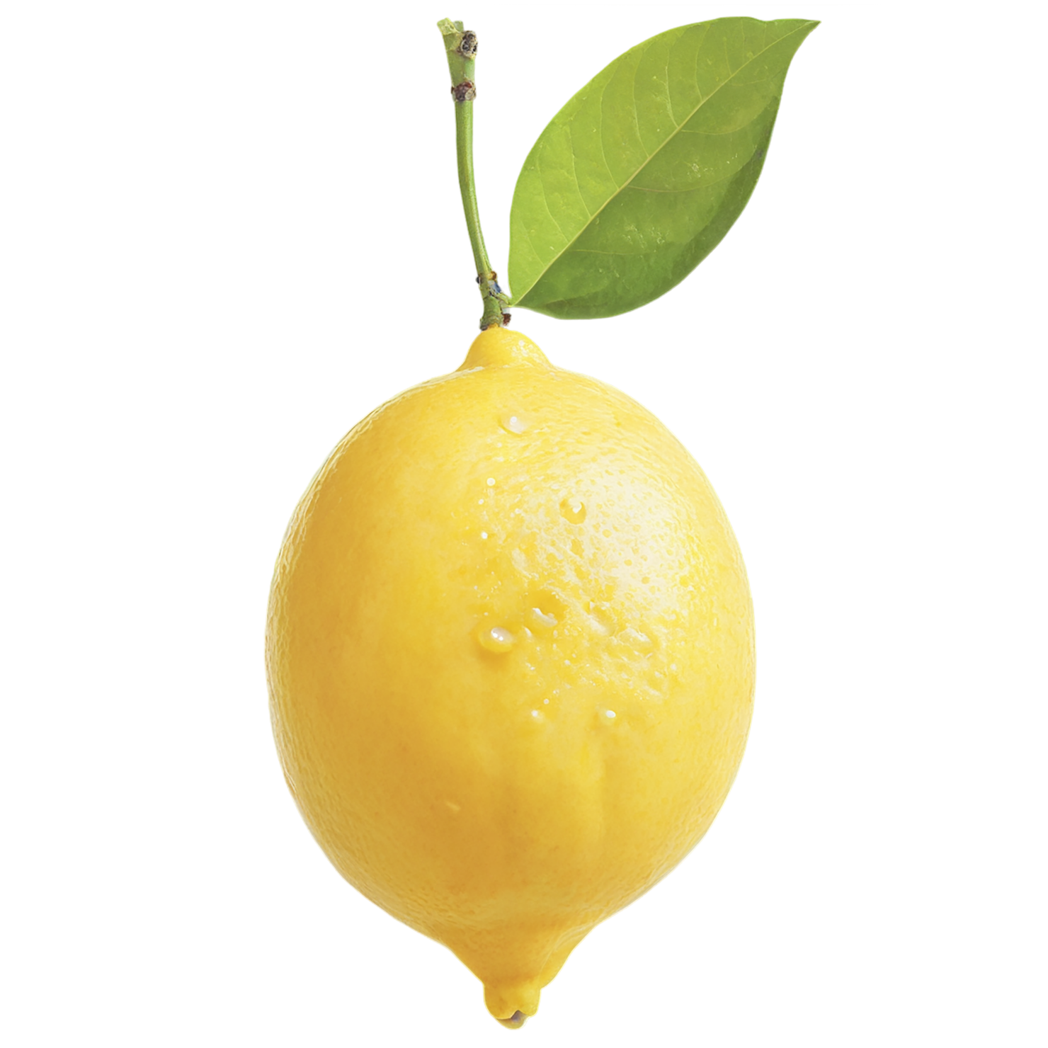 Lemon fruit isolated on transparent background #939