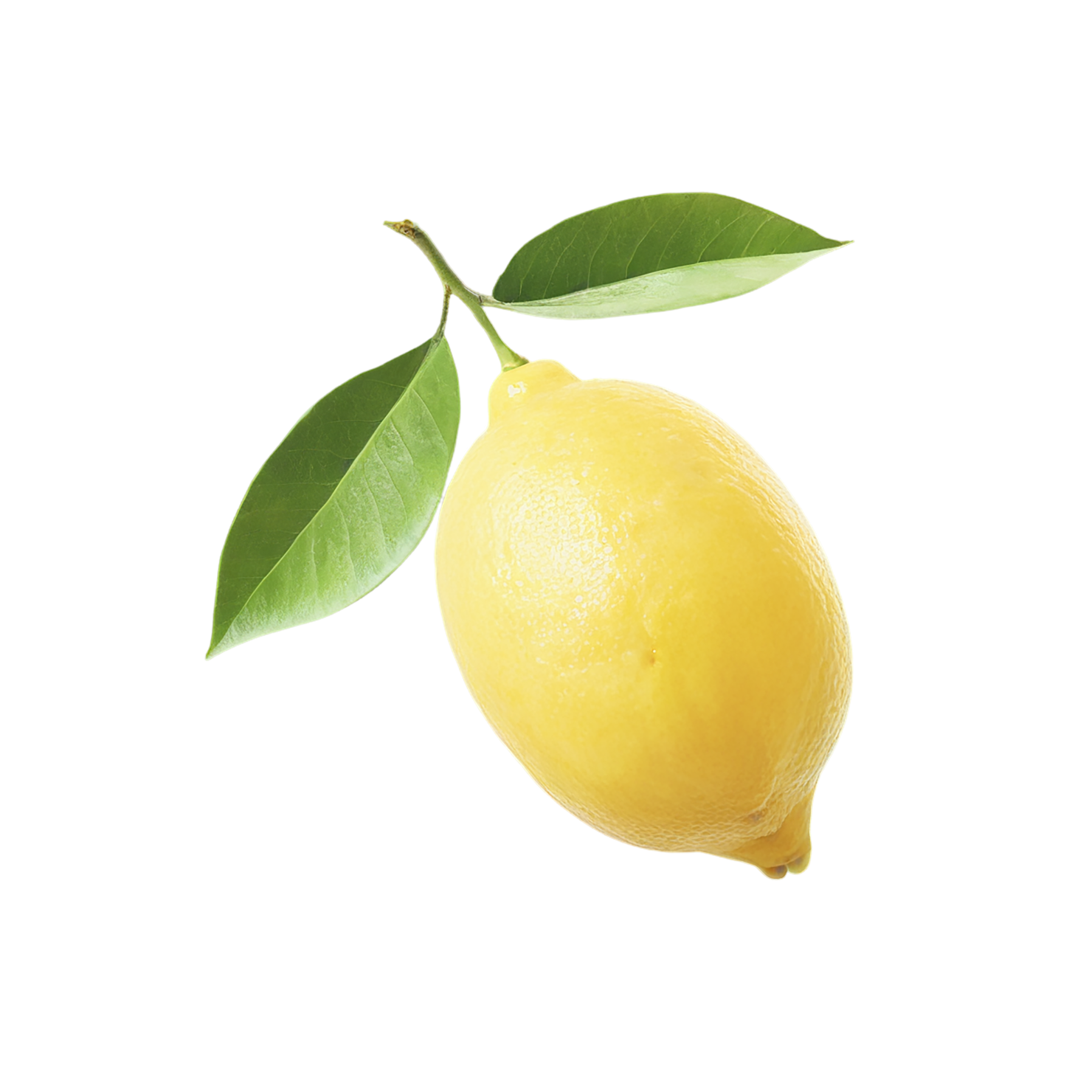 Lemon fruit isolated on transparent background #945