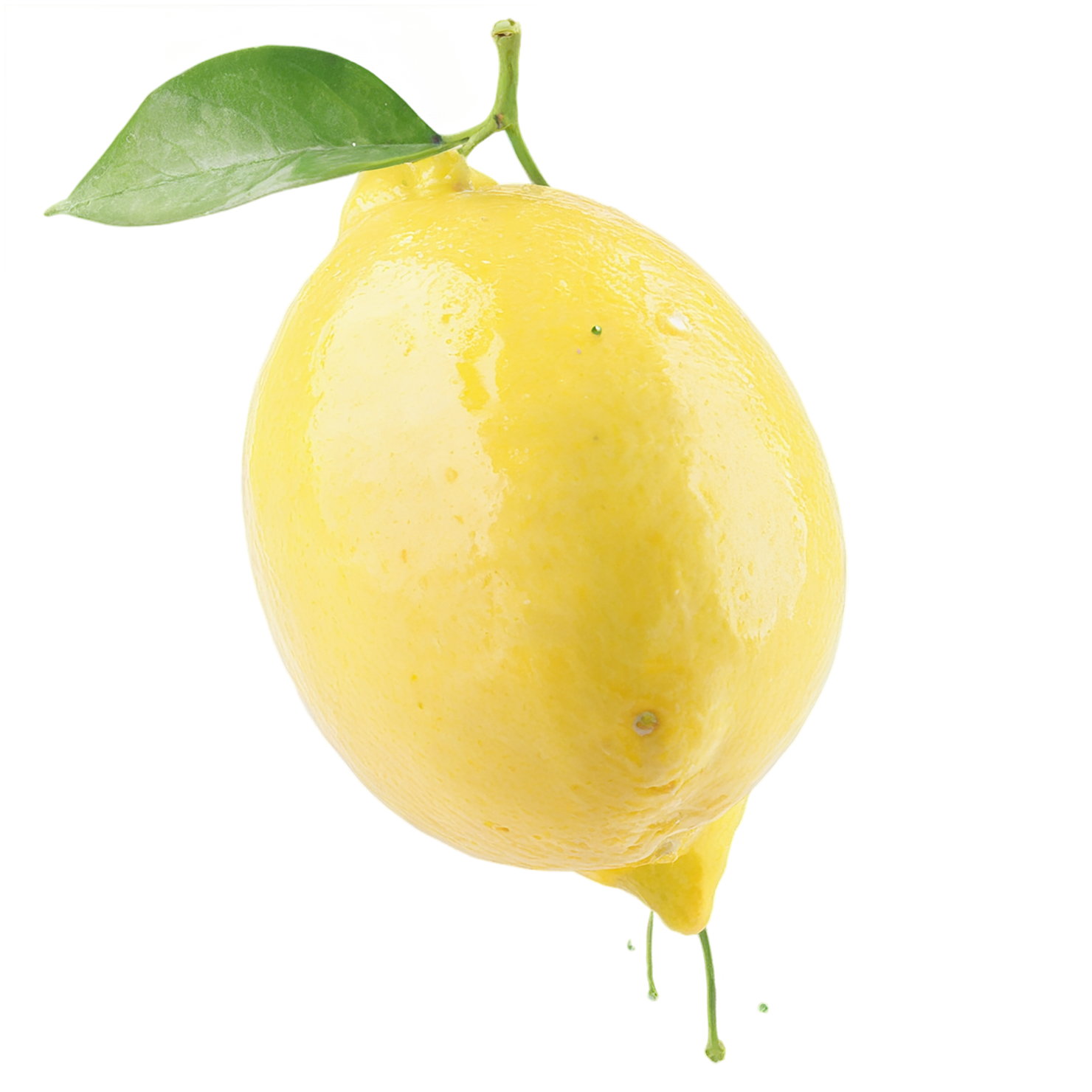 Lemon fruit isolated on transparent background #948