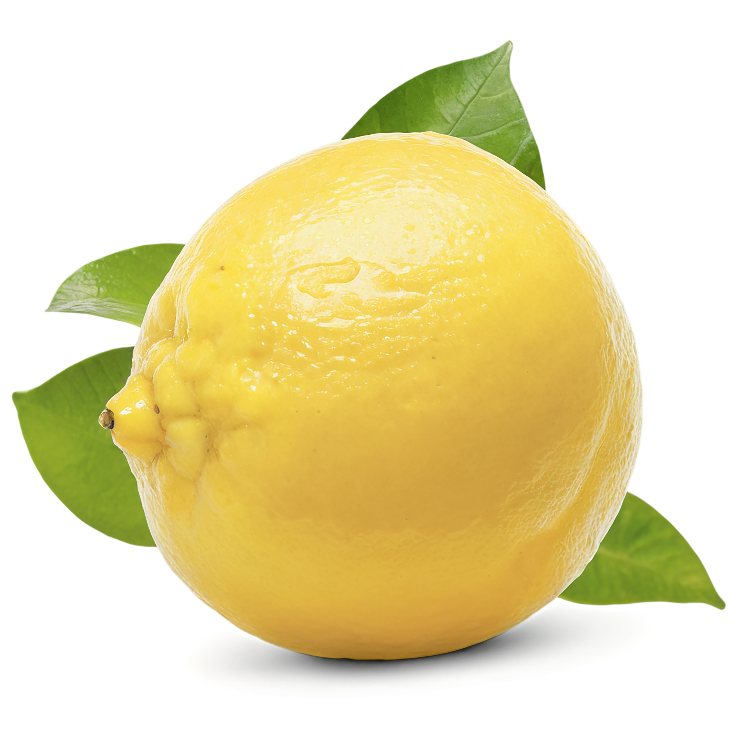 Lemon fruit isolated on transparent background #950