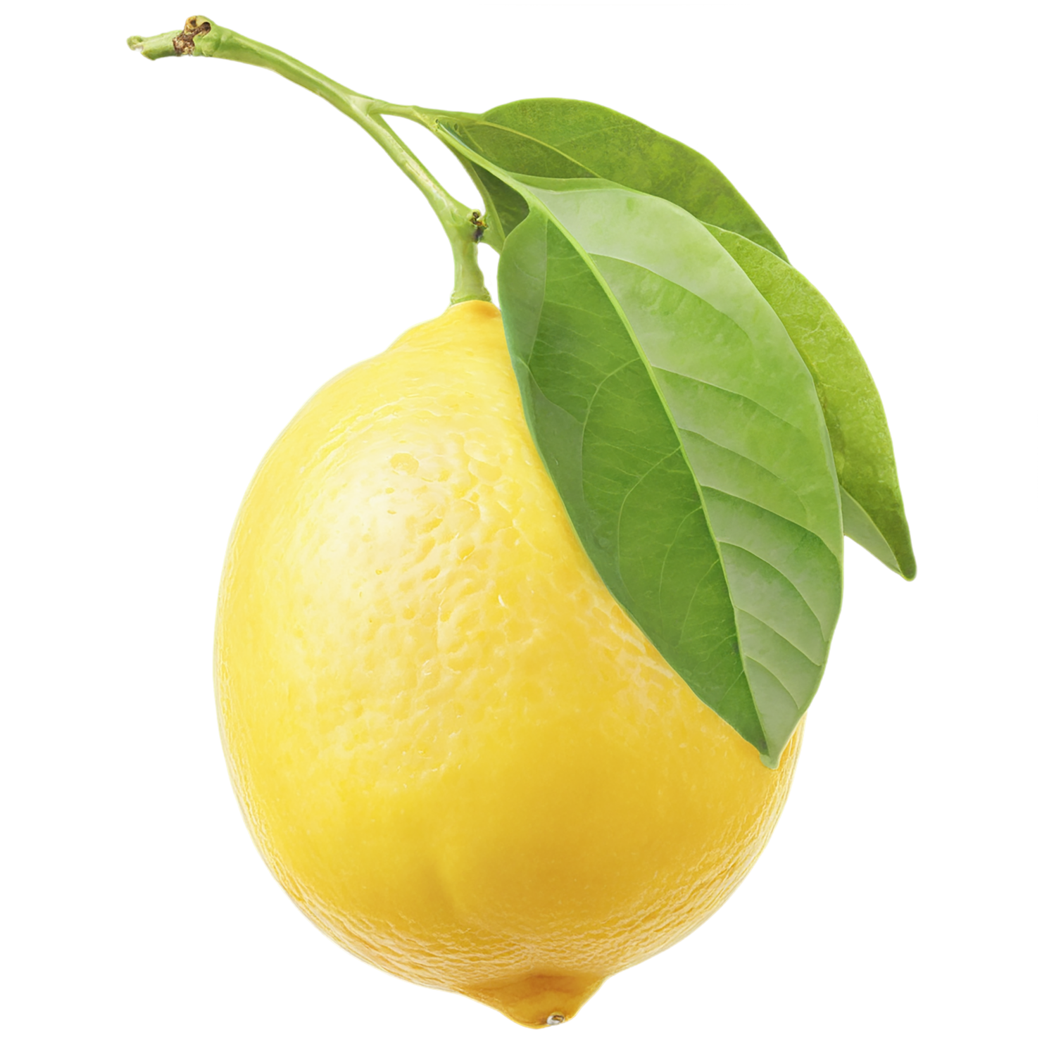 Lemon fruit isolated on transparent background #953