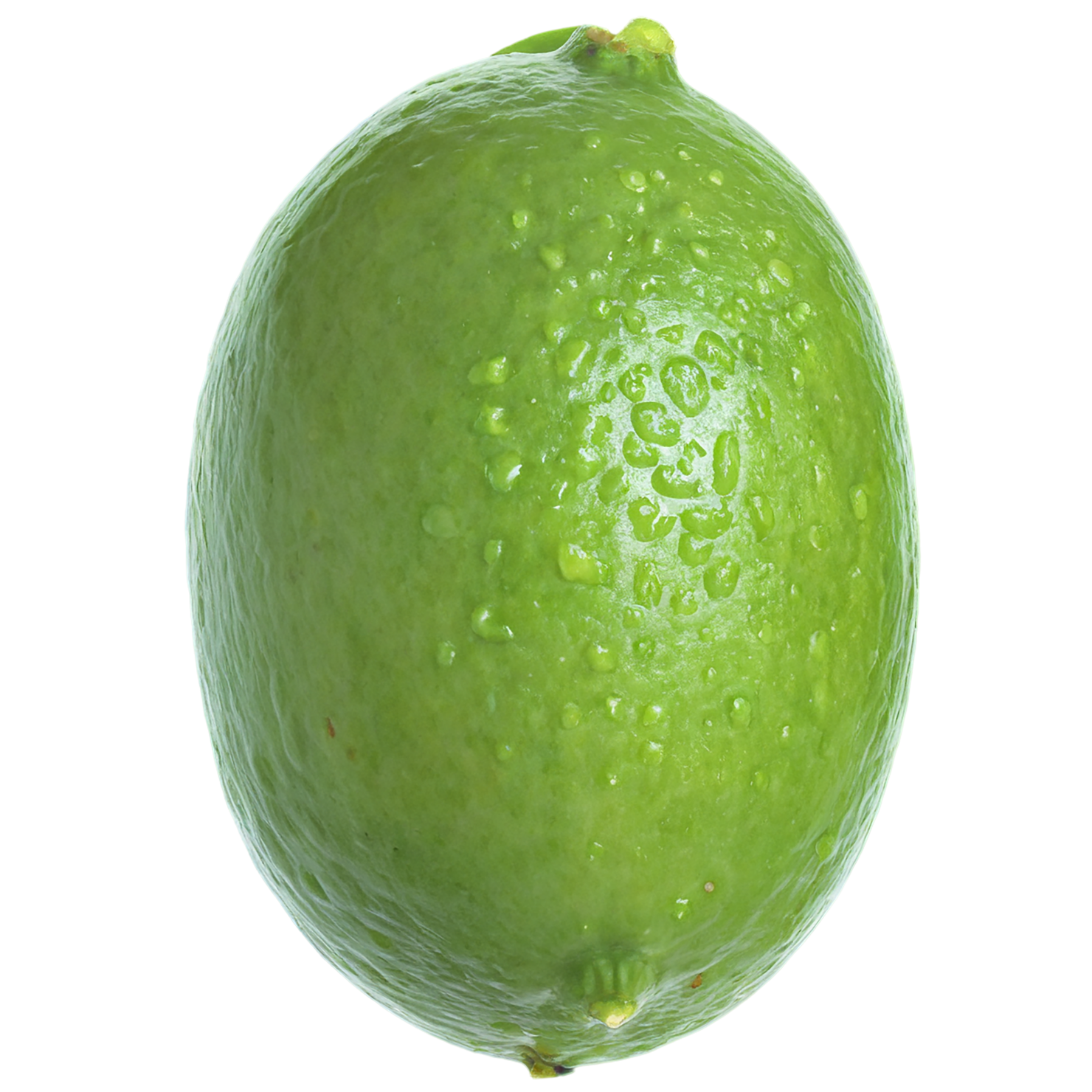 Lime fruit isolated on transparent background #1016