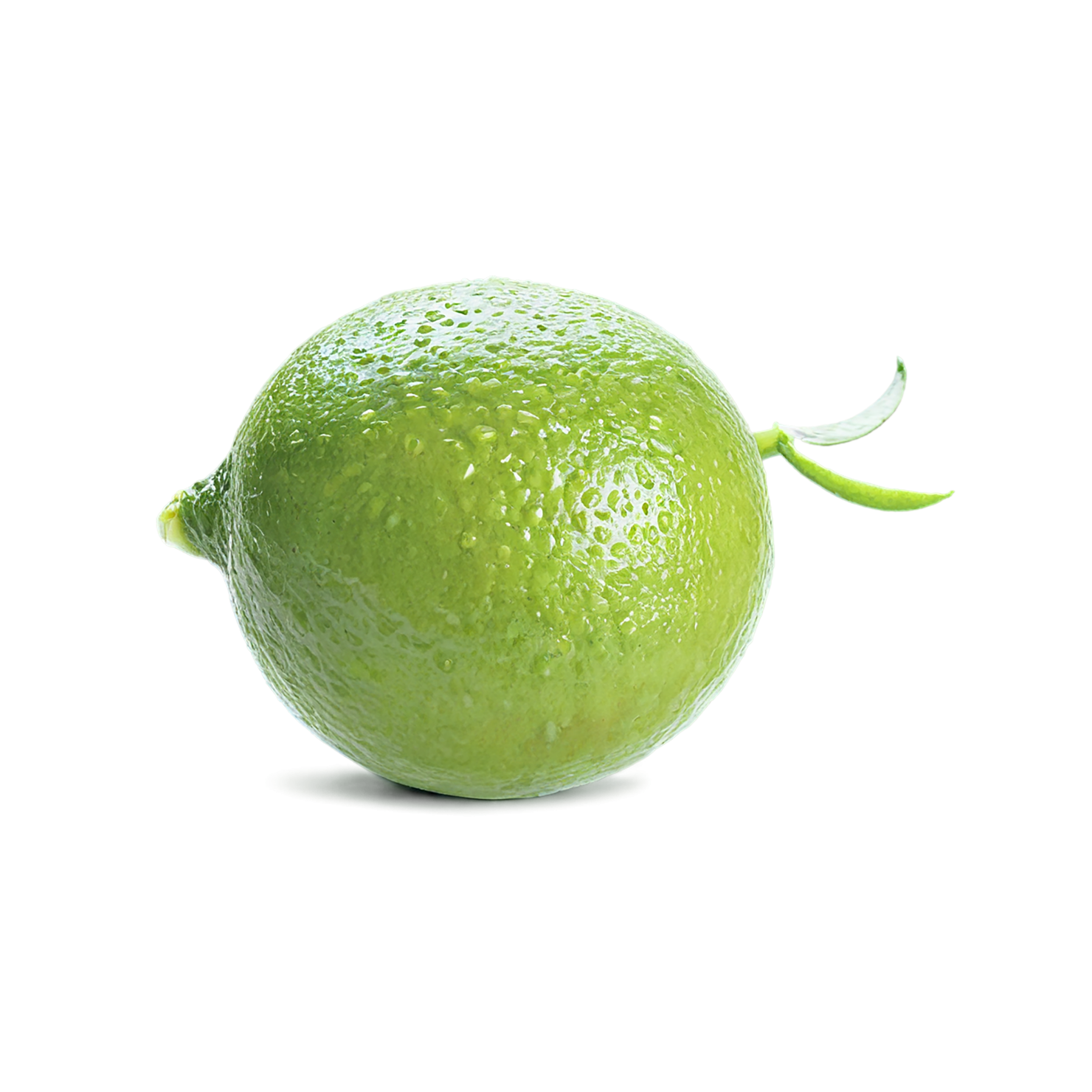 Lime fruit isolated on transparent background #1024