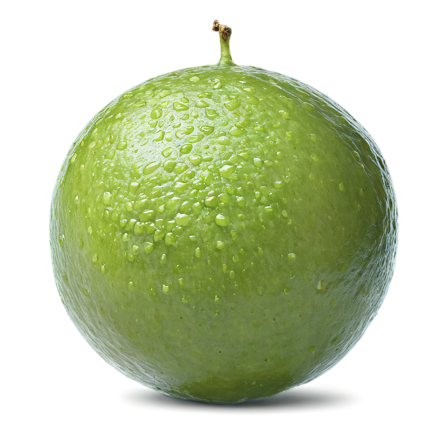 Lime fruit isolated on transparent background #1028
