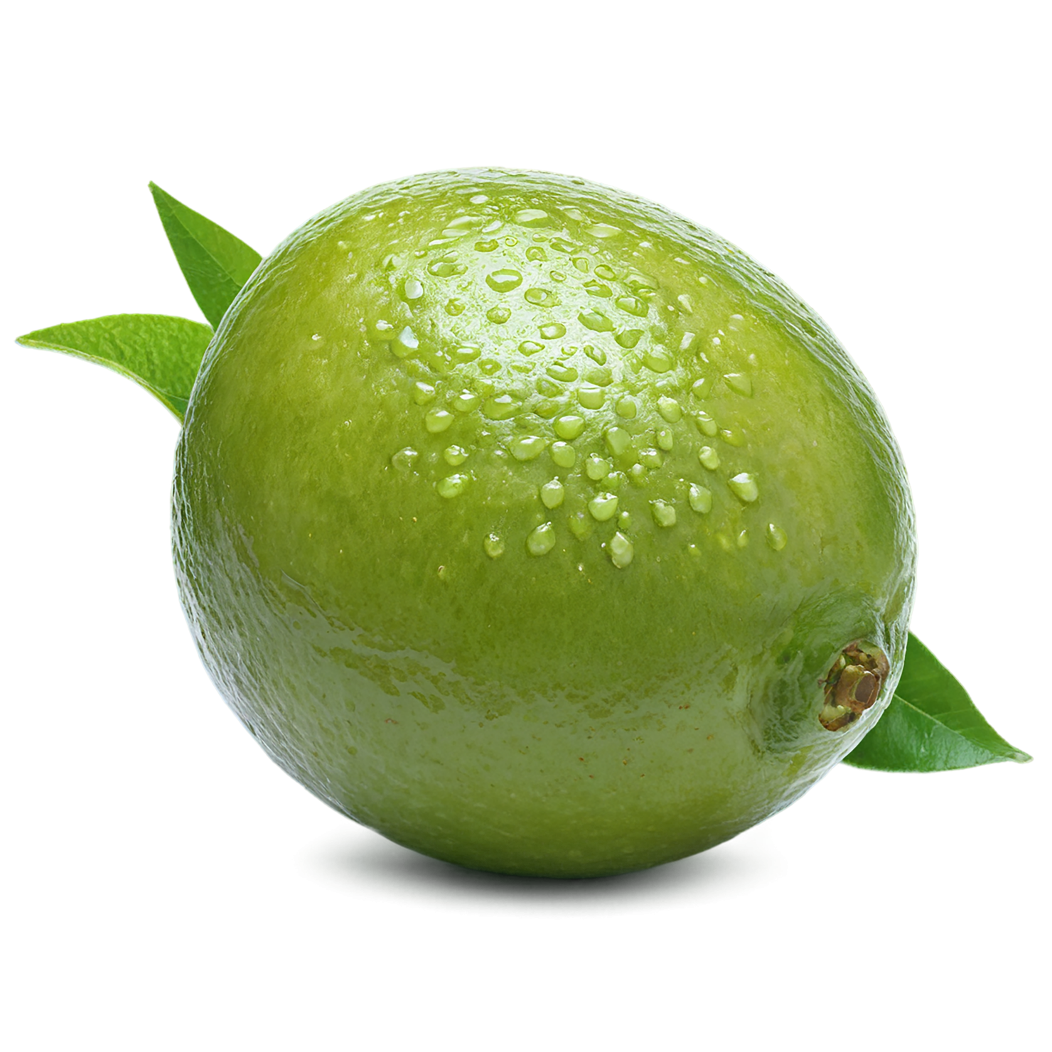 Lime fruit isolated on transparent background #1042