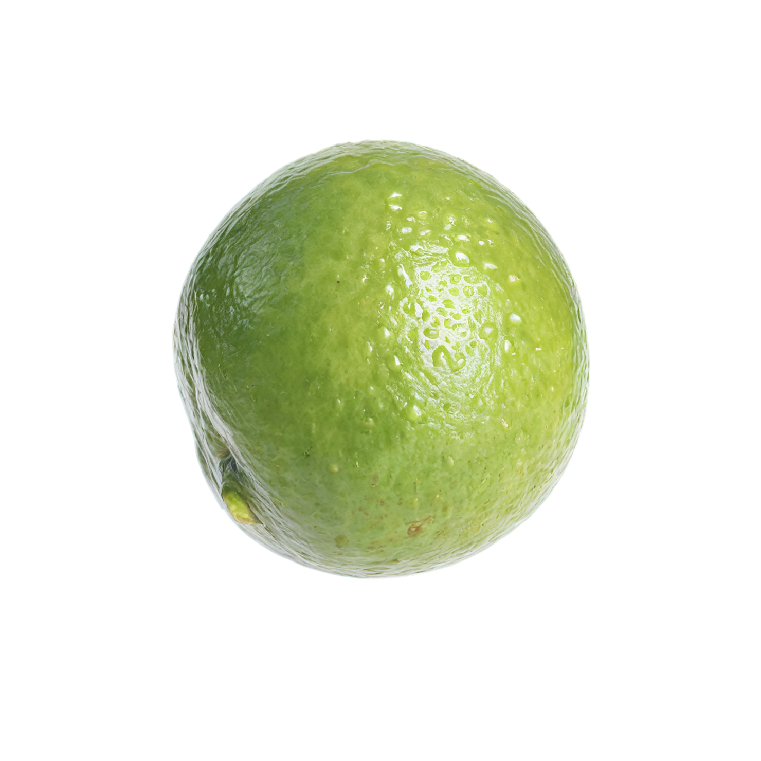 Lime fruit isolated on transparent background #1050