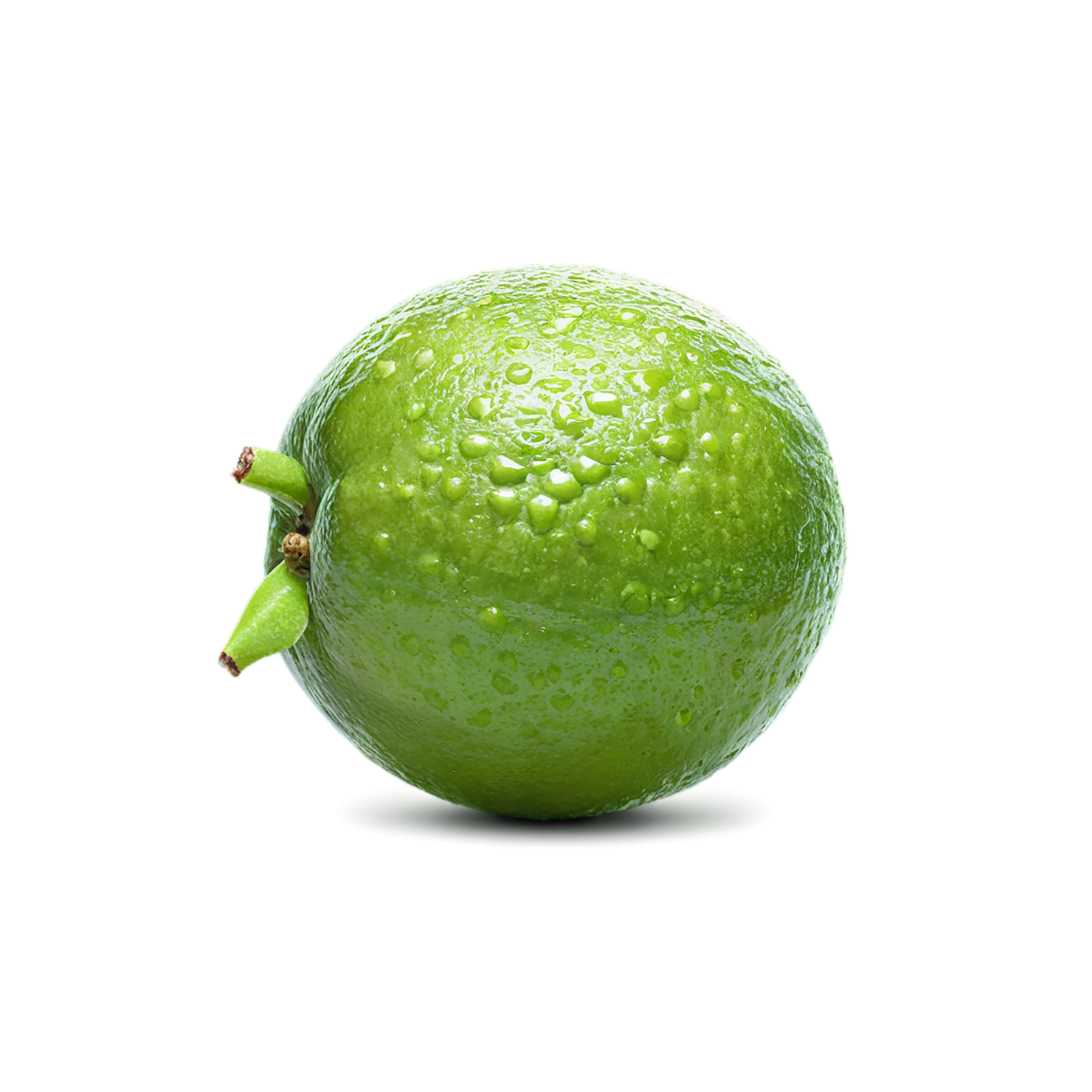 Lime fruit isolated on transparent background #1070
