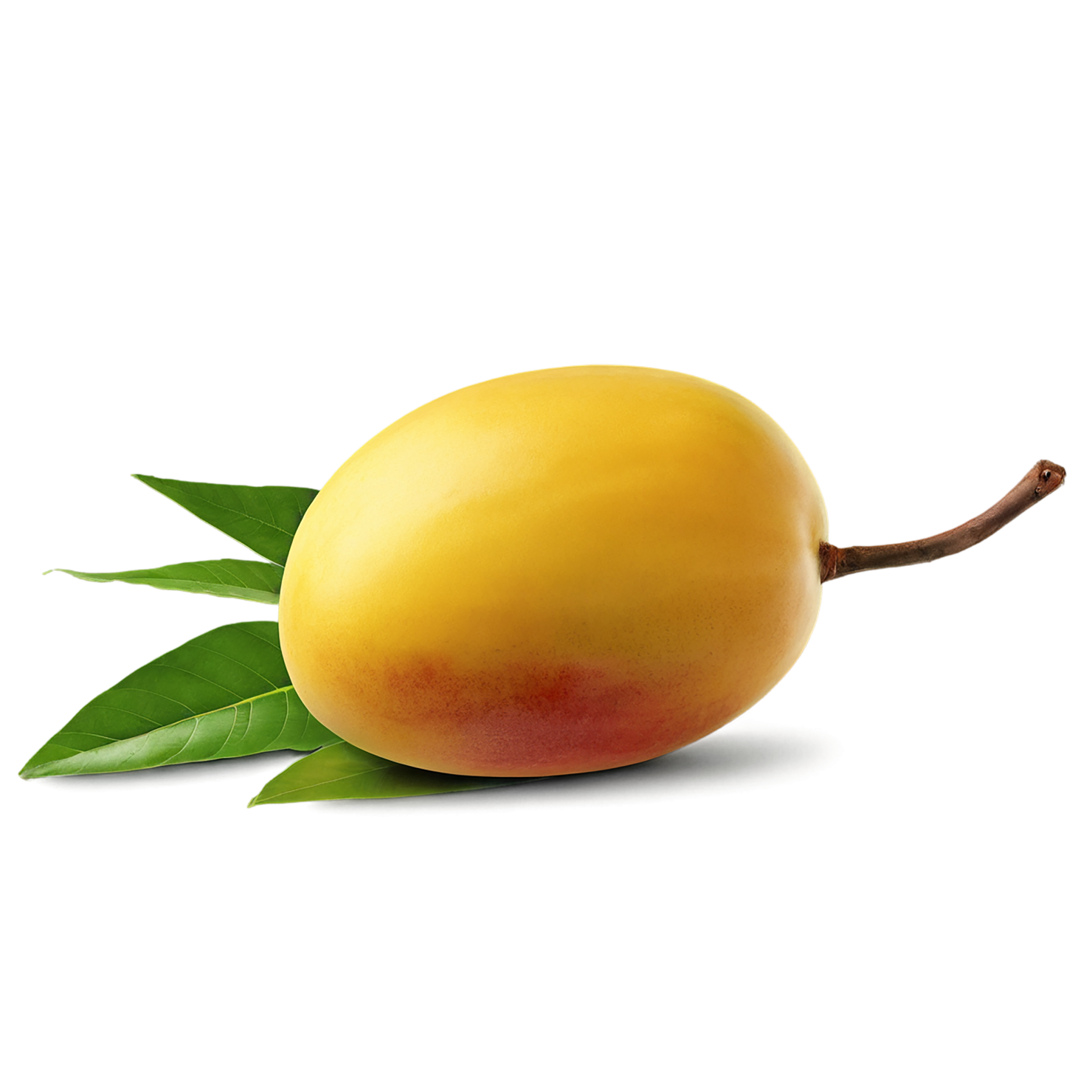 Mango fruit with leaf isolated on transparent background #1090