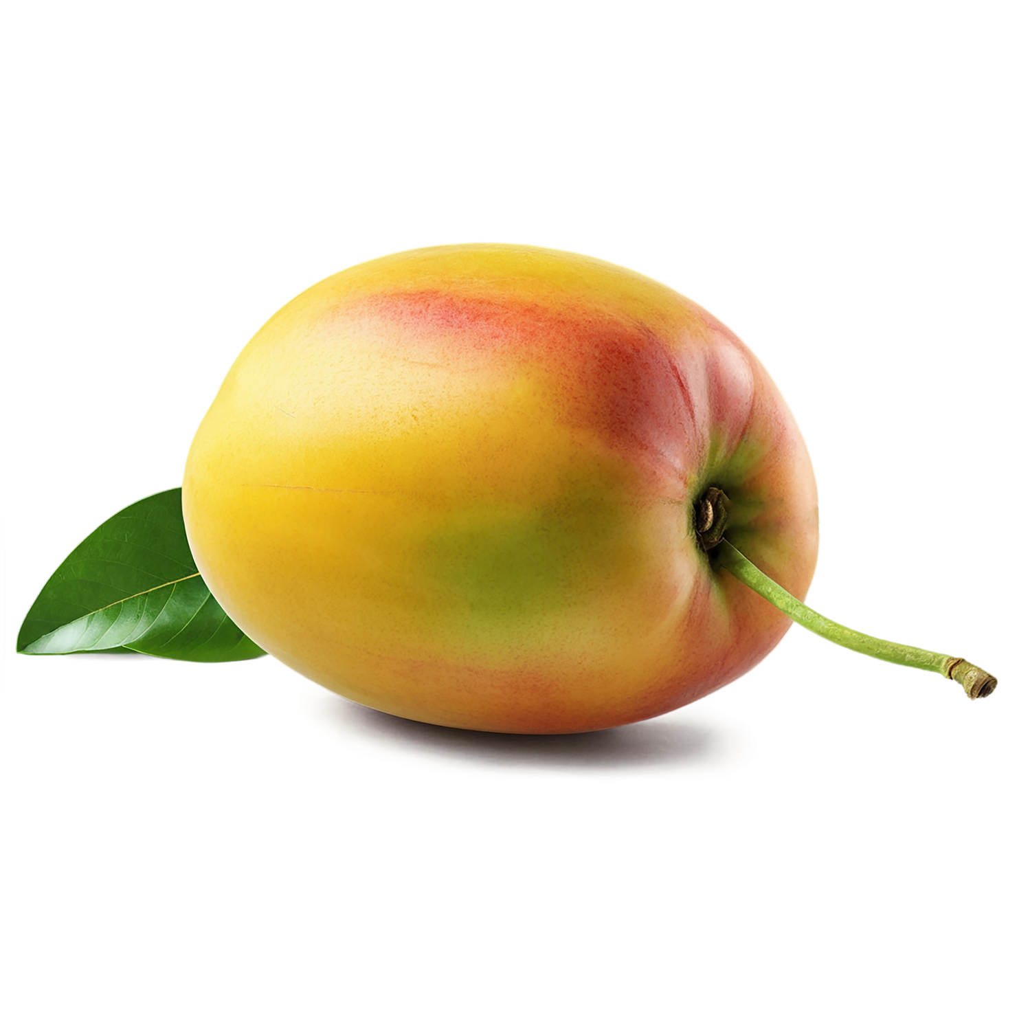 Mango fruit with leaf isolated on transparent background #1093