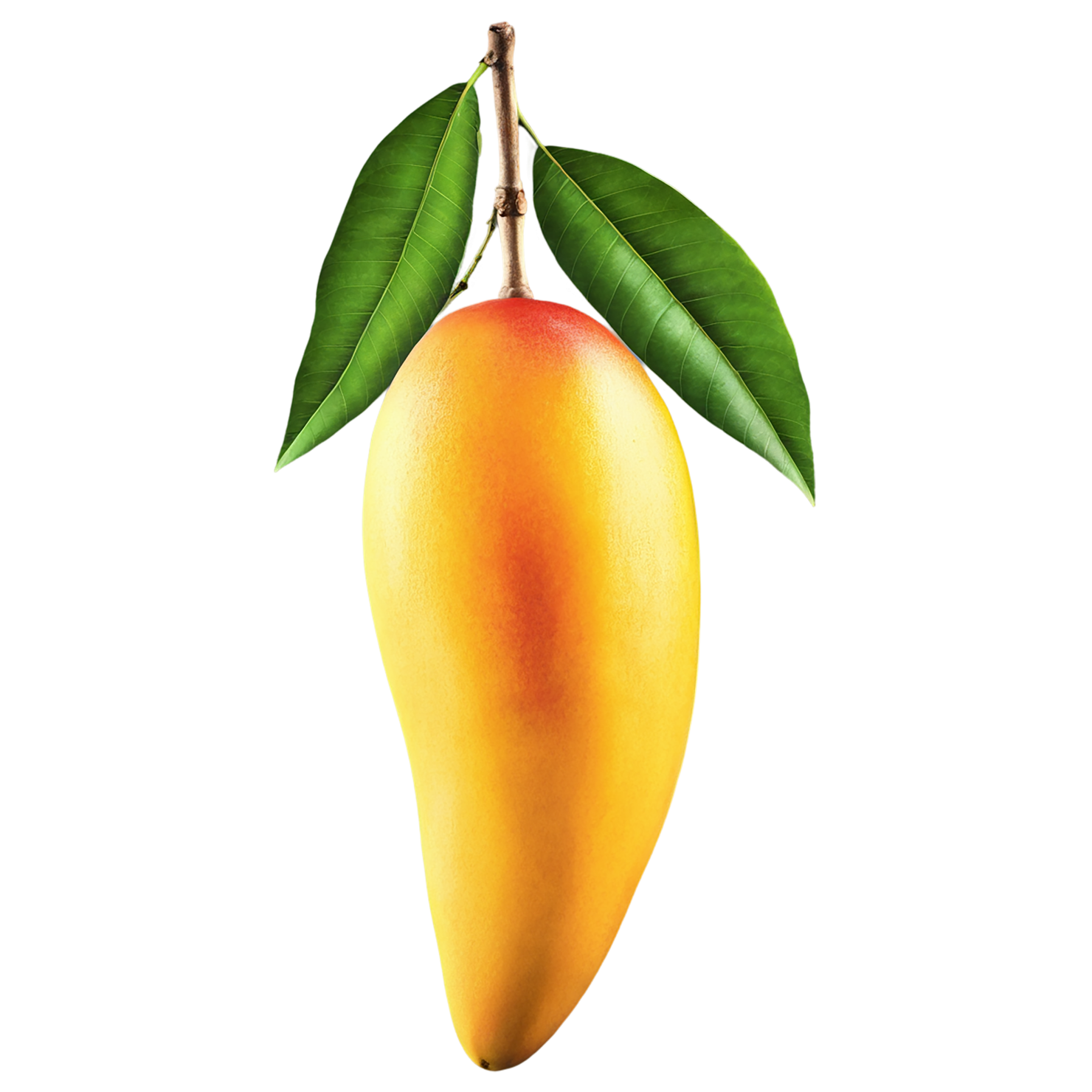 Mango fruit with leaf isolated on transparent background #1110