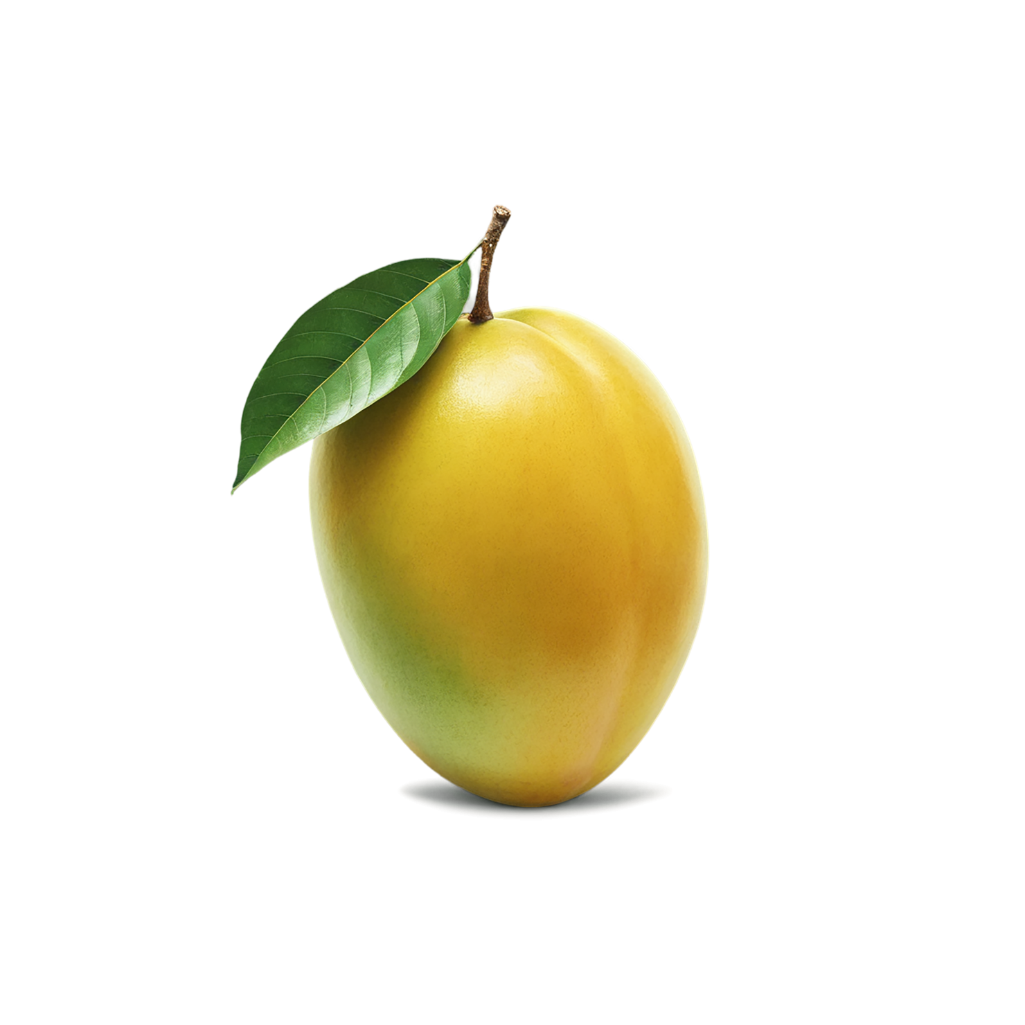 Mango fruit with leaf isolated on transparent background #1128