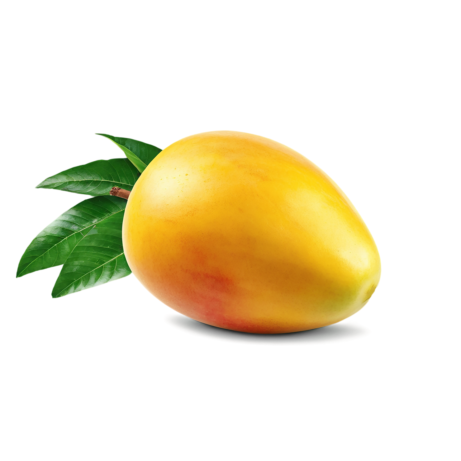 Mango fruit with leaf isolated on transparent background #1141