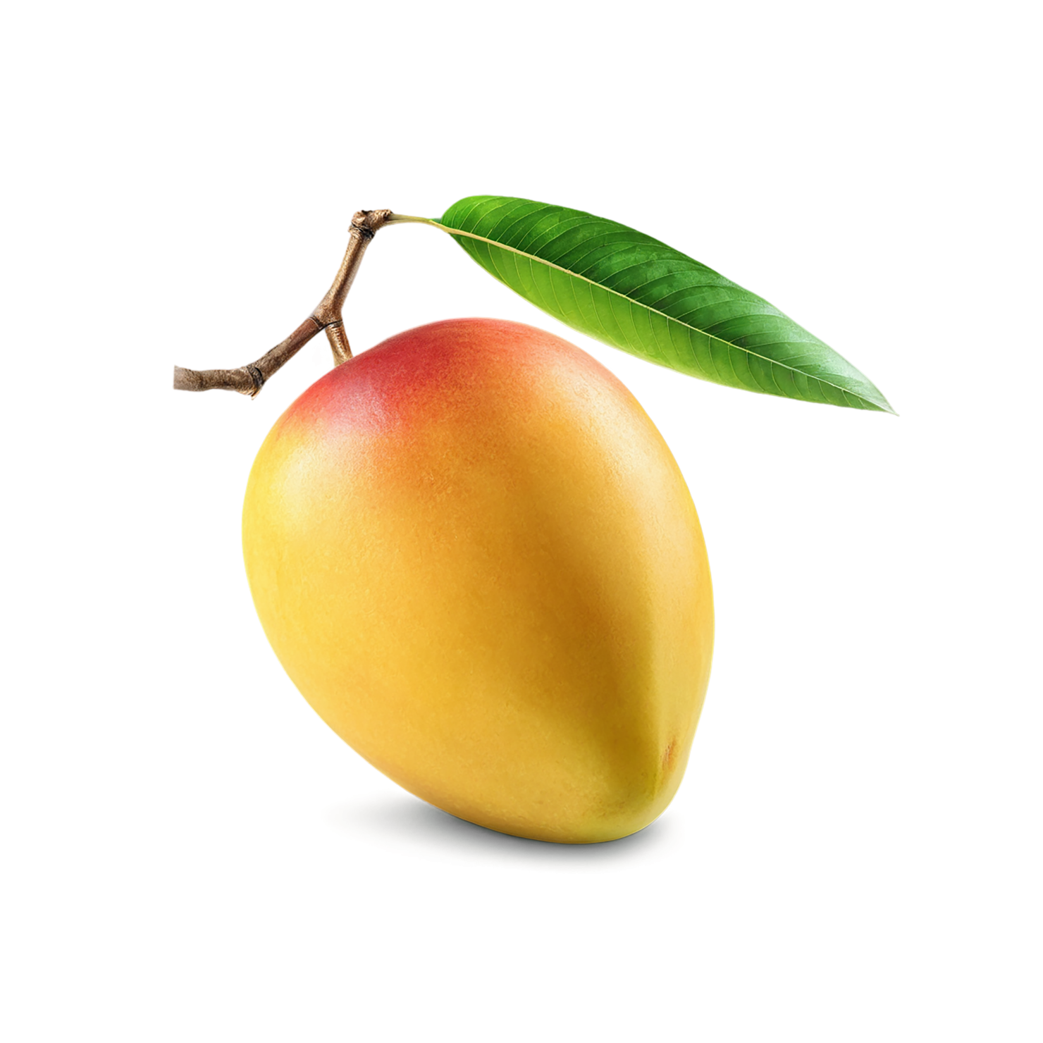 Mango fruit with leaf isolated on transparent background #1153