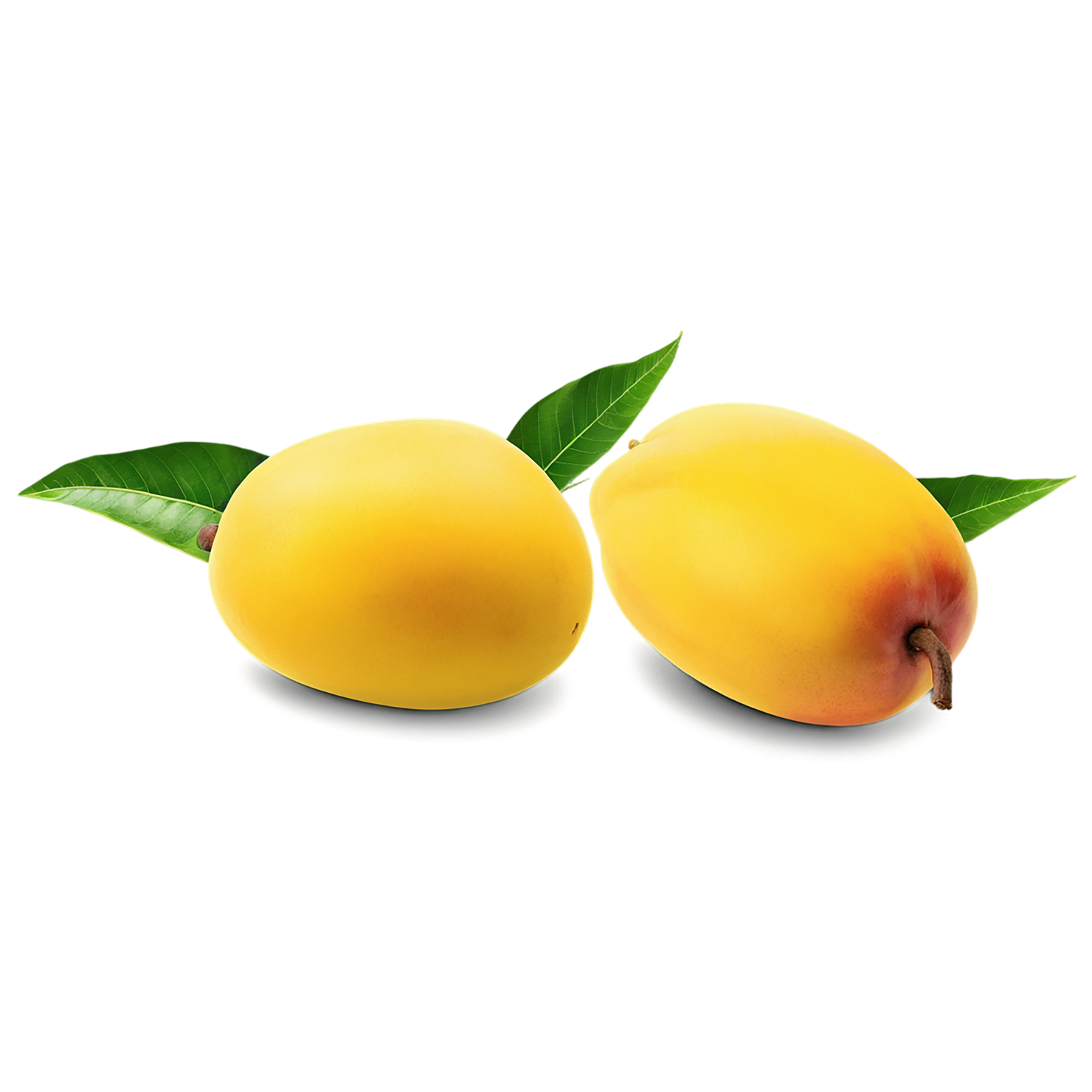 Mango fruit with leaf isolated on transparent background #1176