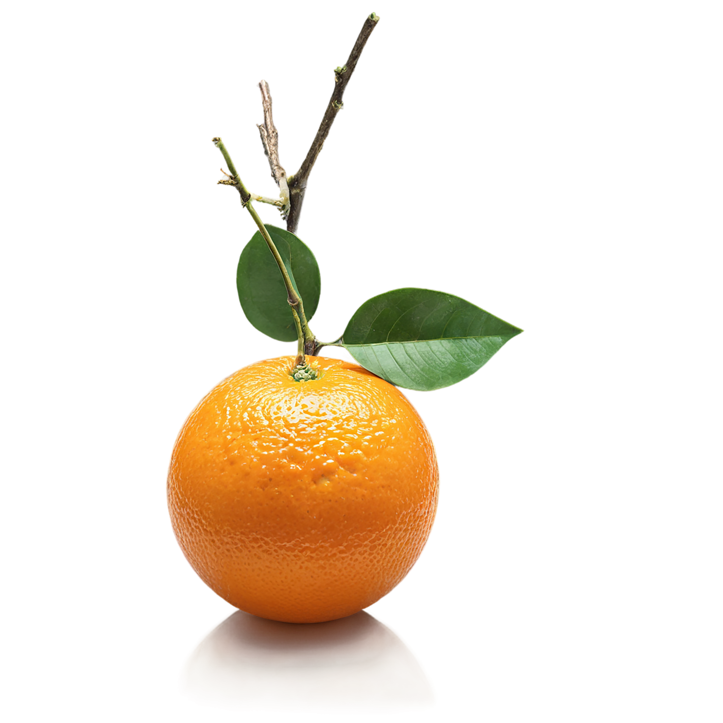 Orange fruit with leaf isolated on transparent background #1216