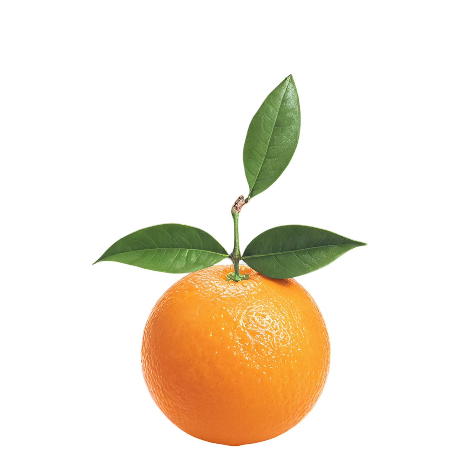Orange fruit with leaf isolated on transparent background #1229