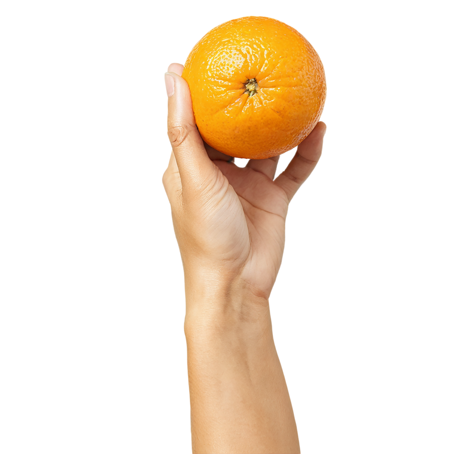 Orange fruit isolated on transparent background #1272