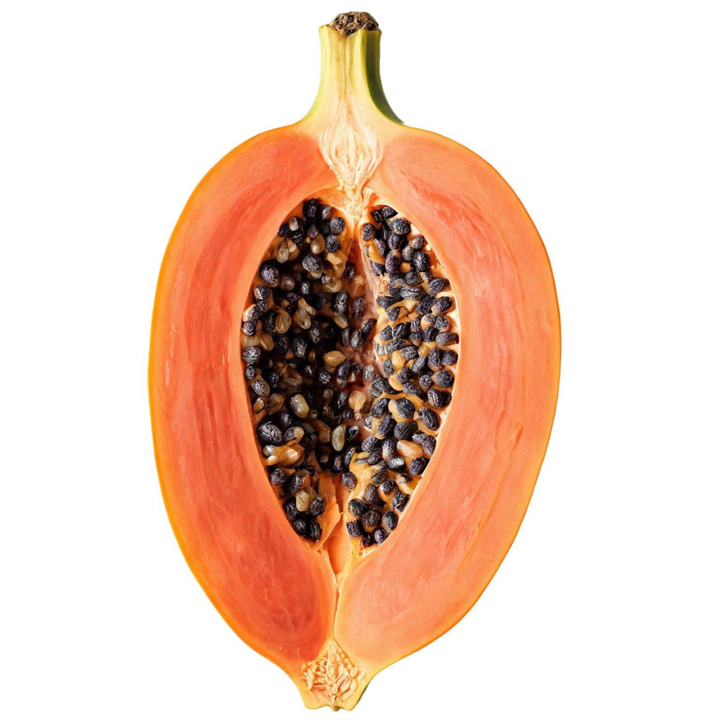 Papaya fruit isolated on transparent background #1328