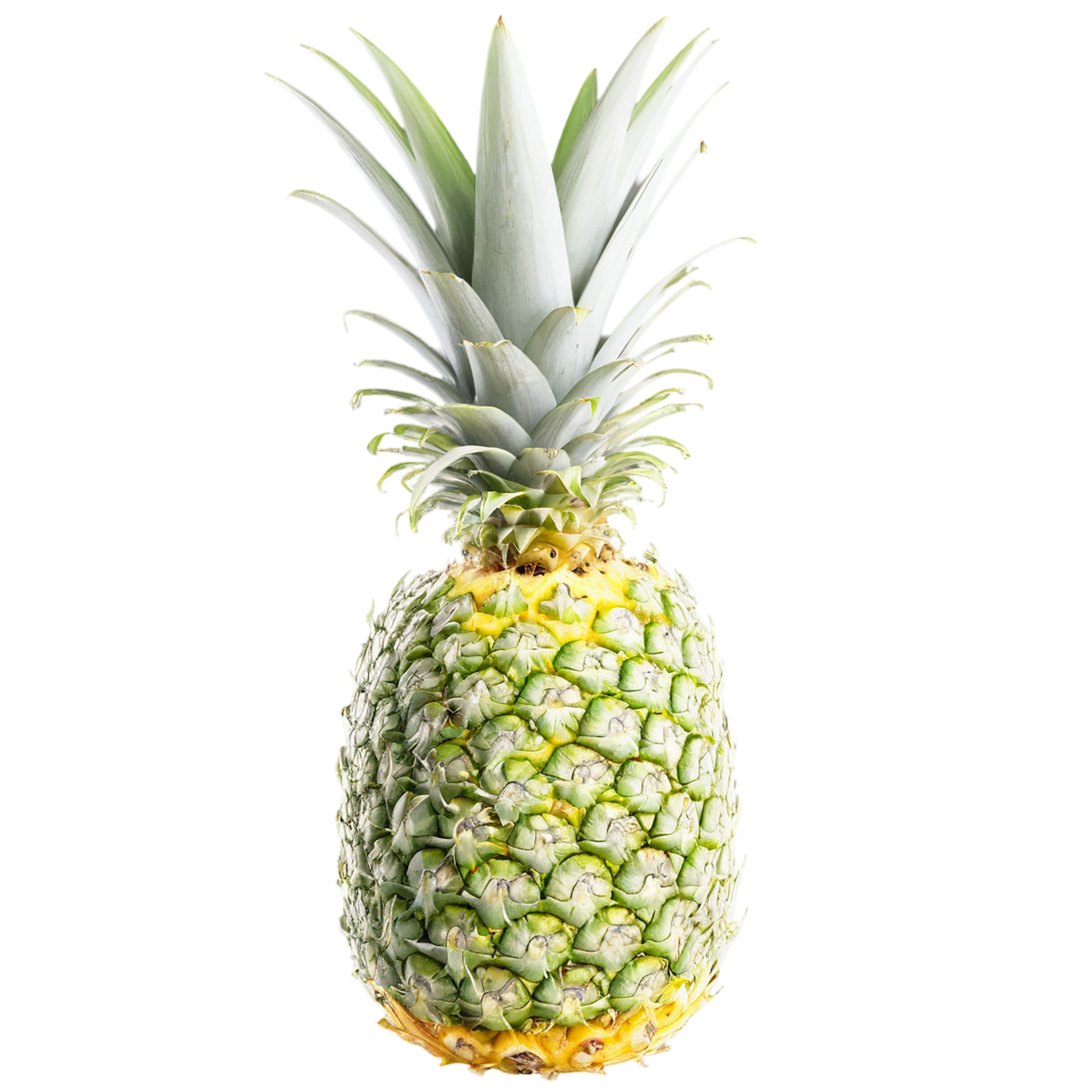 Pineapple fruit isolated on transparent background #1493