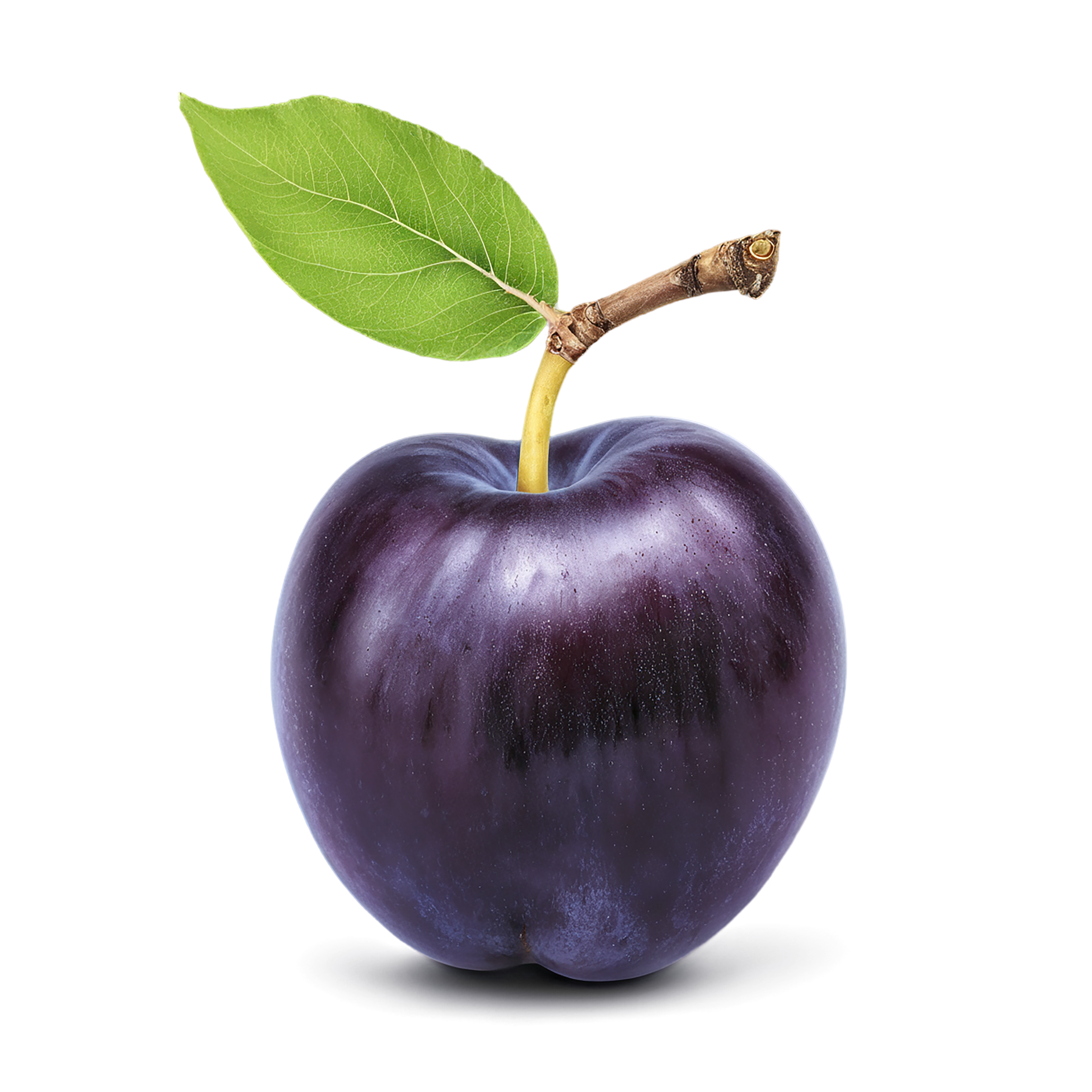 Plum fruit with leaf isolated on transparent background #1586