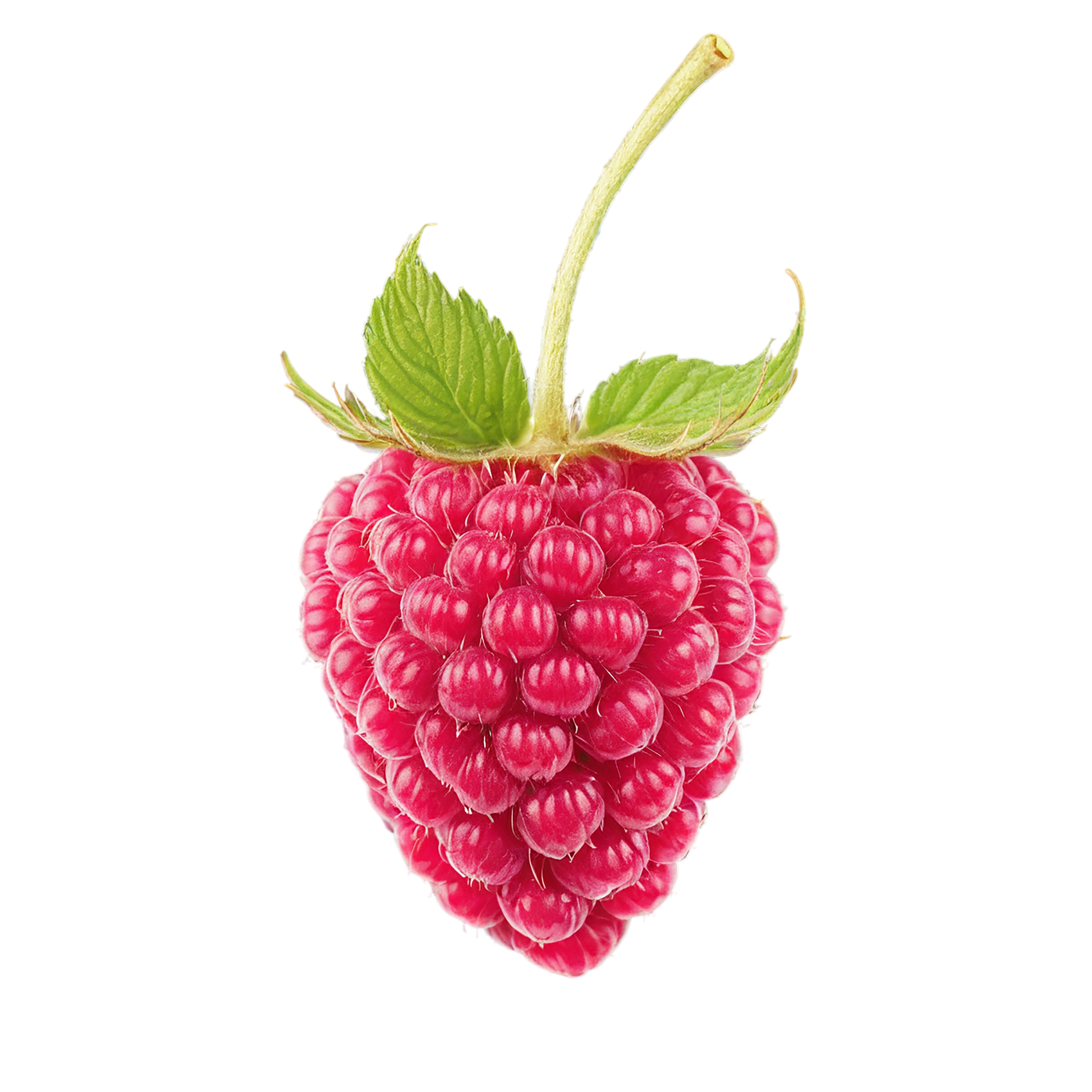 Raspberry fruit with leaf isolated on transparent background #1656