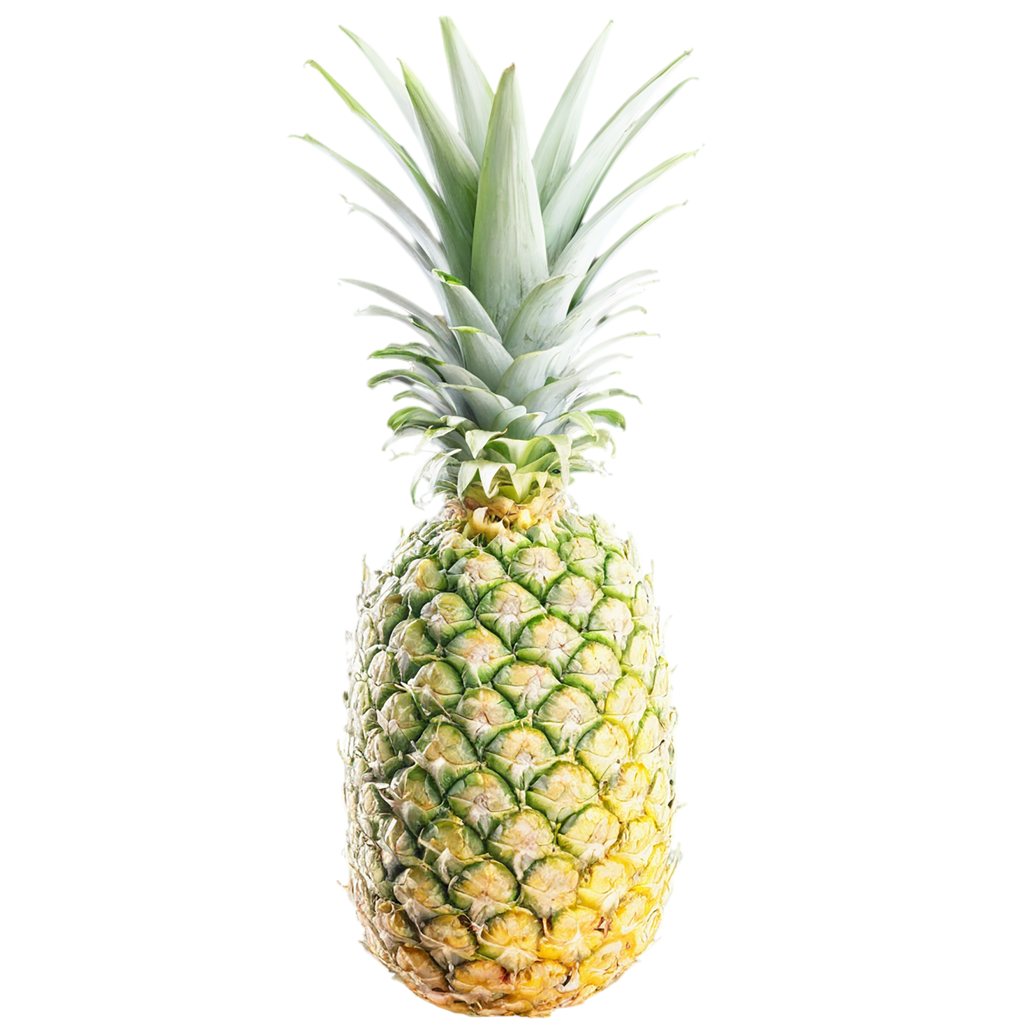 Pineapple fruit isolated on transparent background #1440