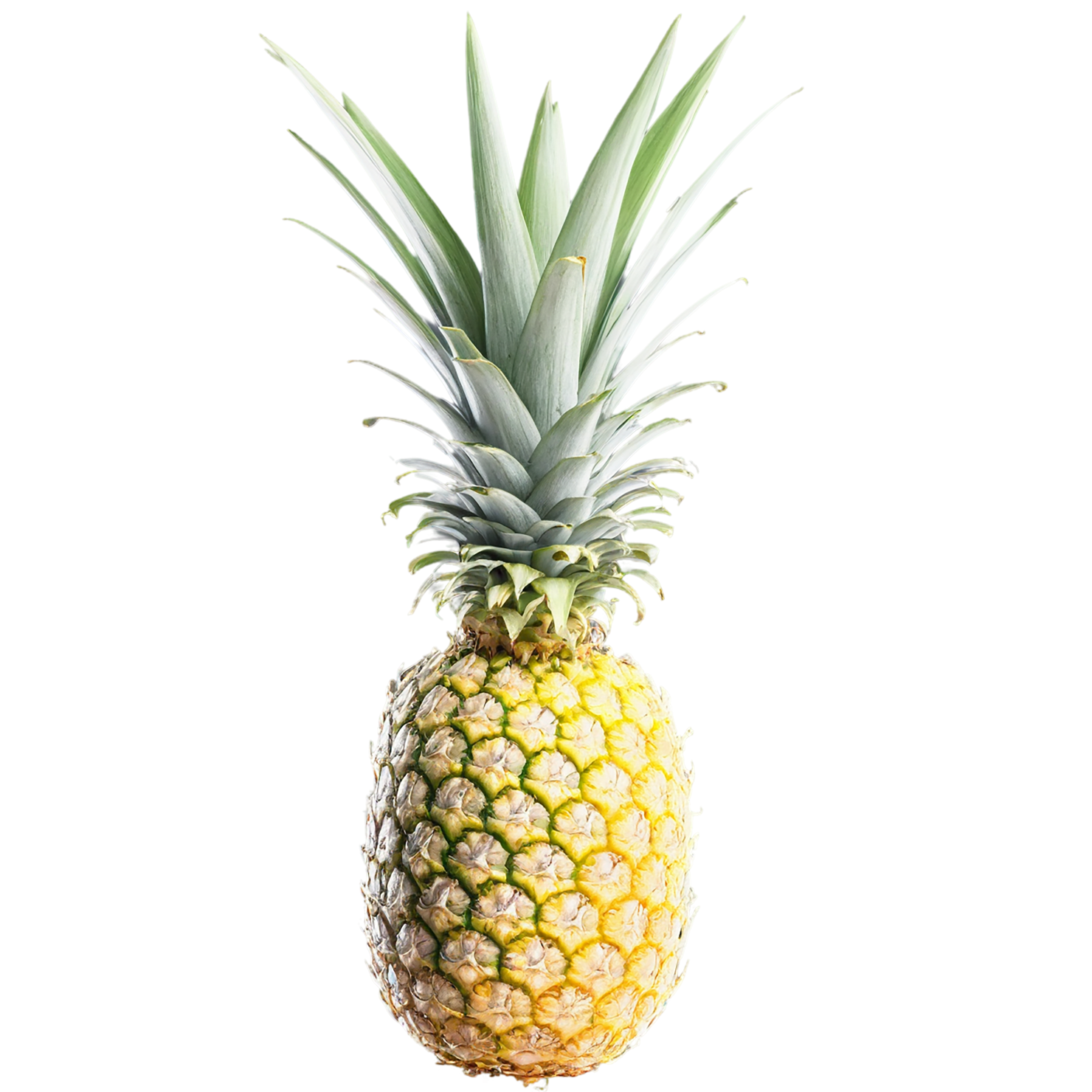Pineapple fruit isolated on transparent background #1450