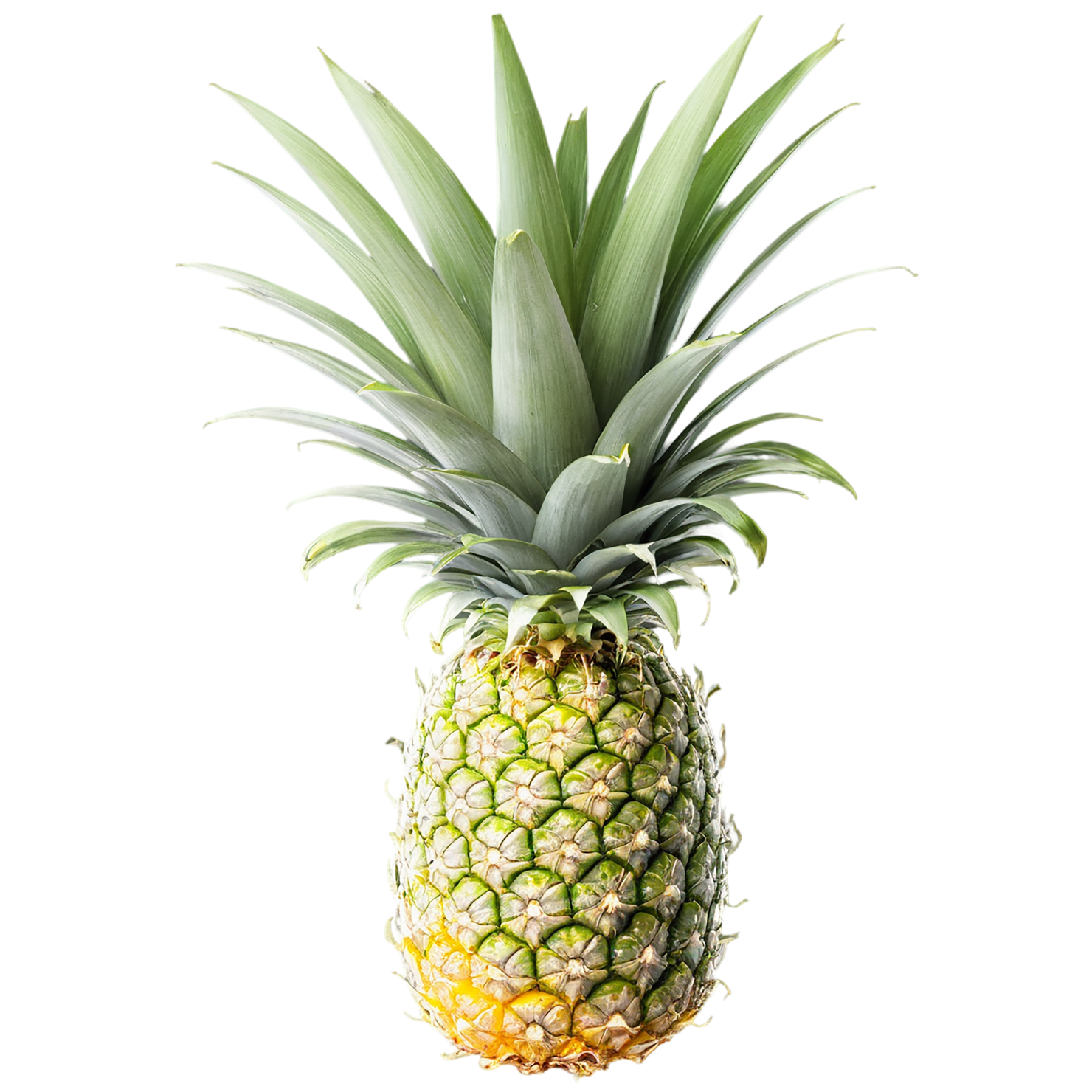 Pineapple fruit isolated on transparent background #1452