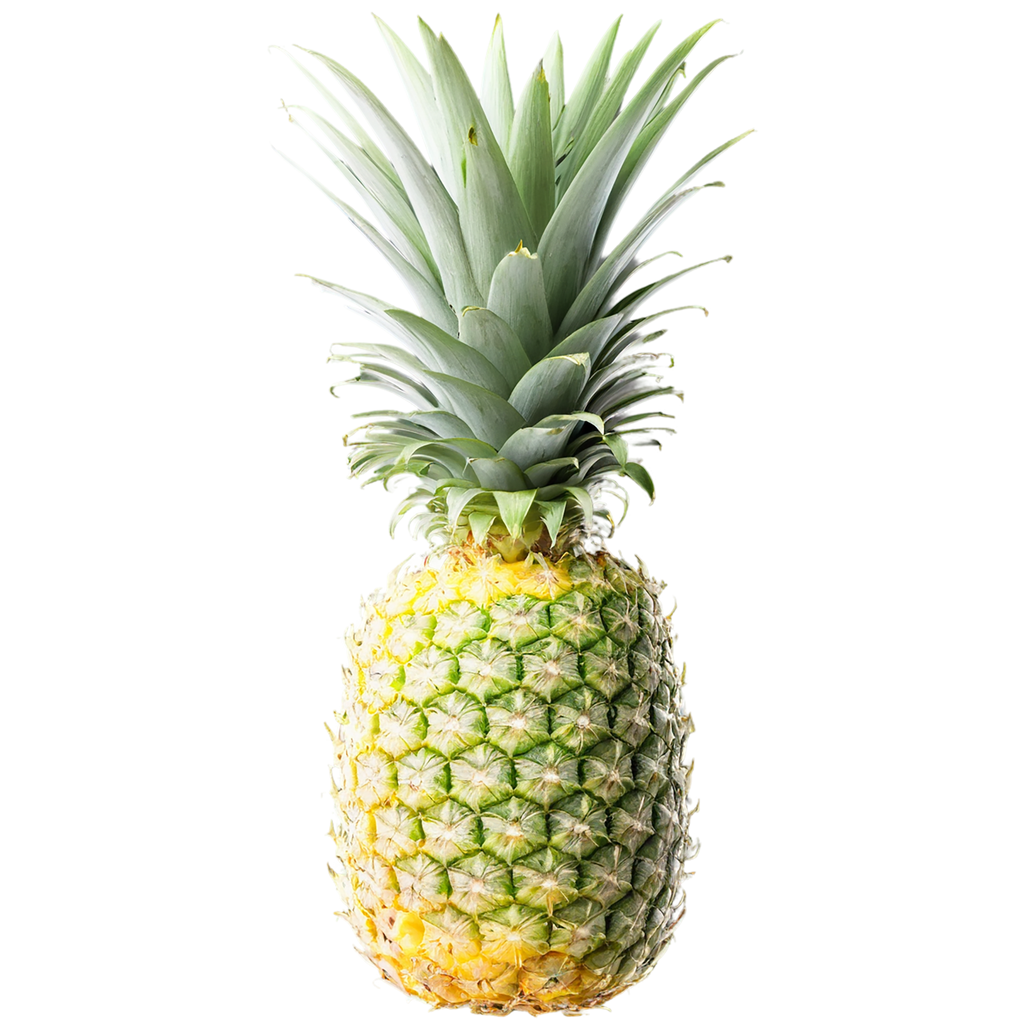 Pineapple fruit isolated on transparent background #1455