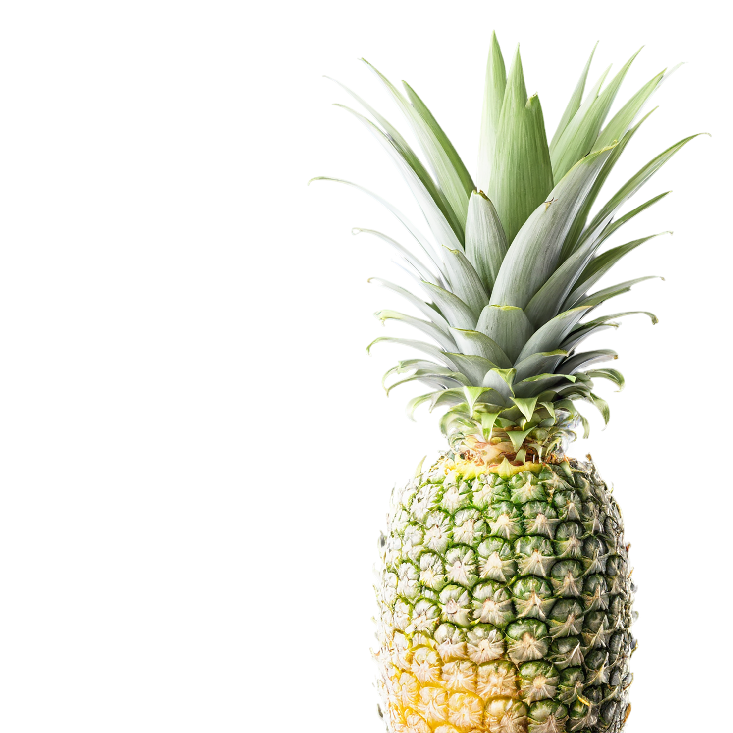 Pineapple fruit isolated on transparent background #1456