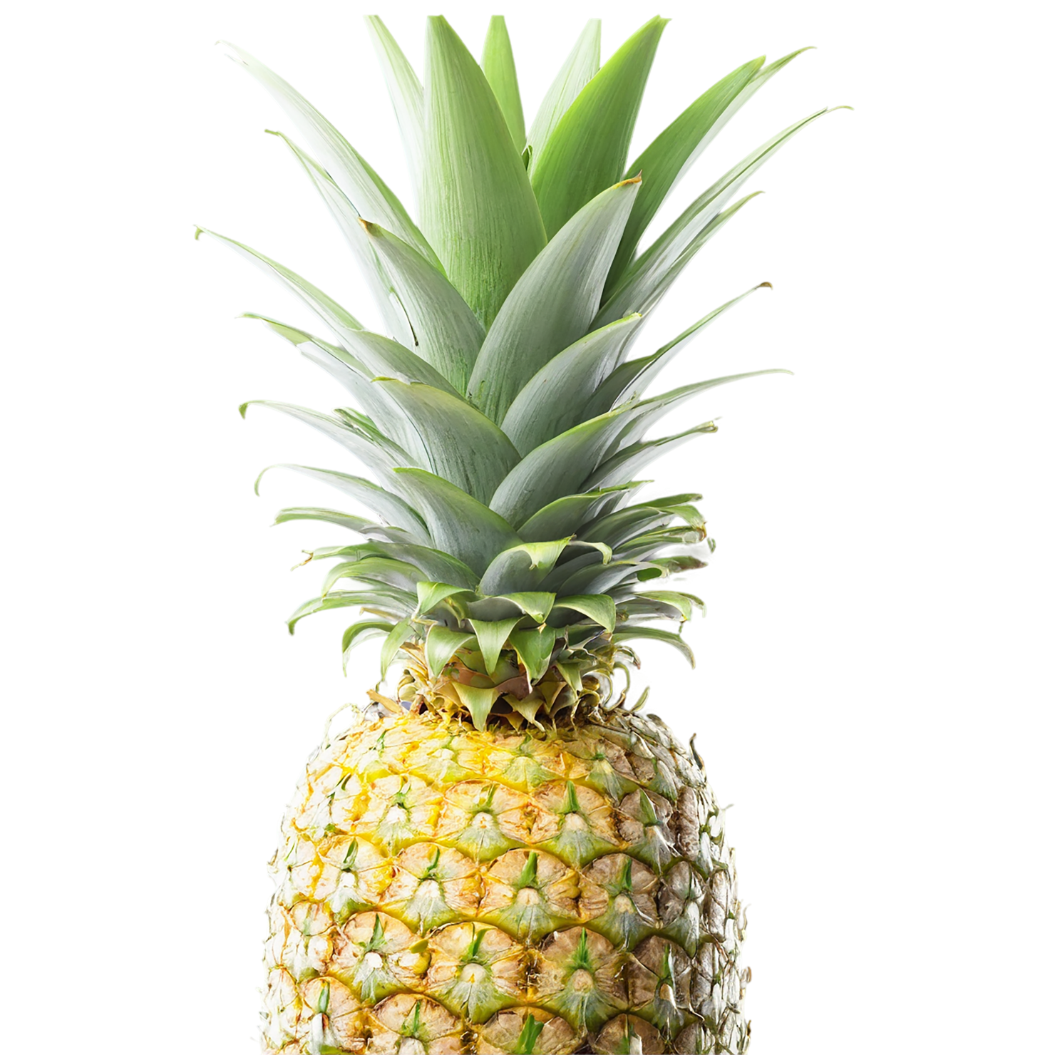Pineapple fruit isolated on transparent background #1457
