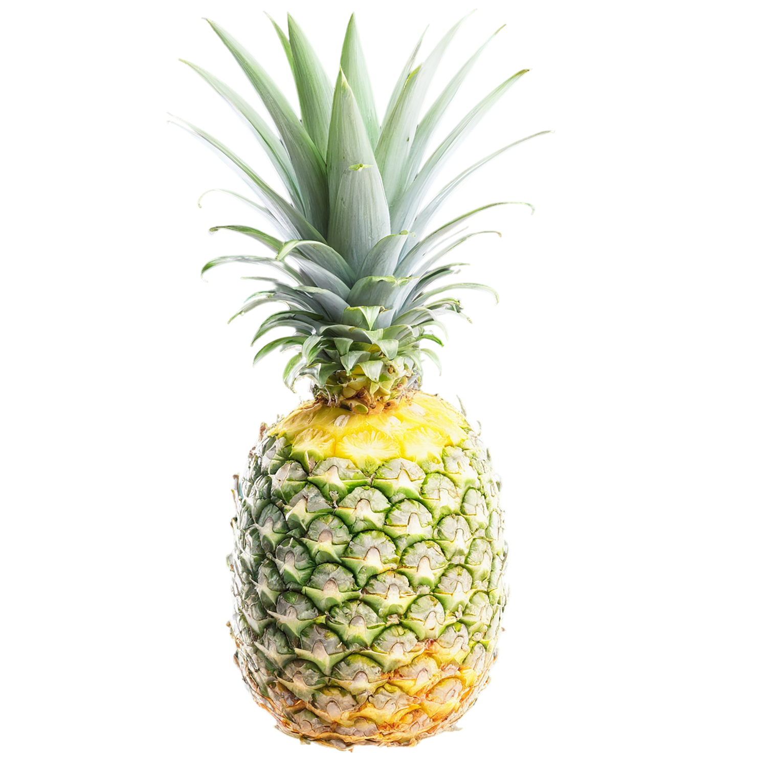 Pineapple fruit isolated on transparent background #1462