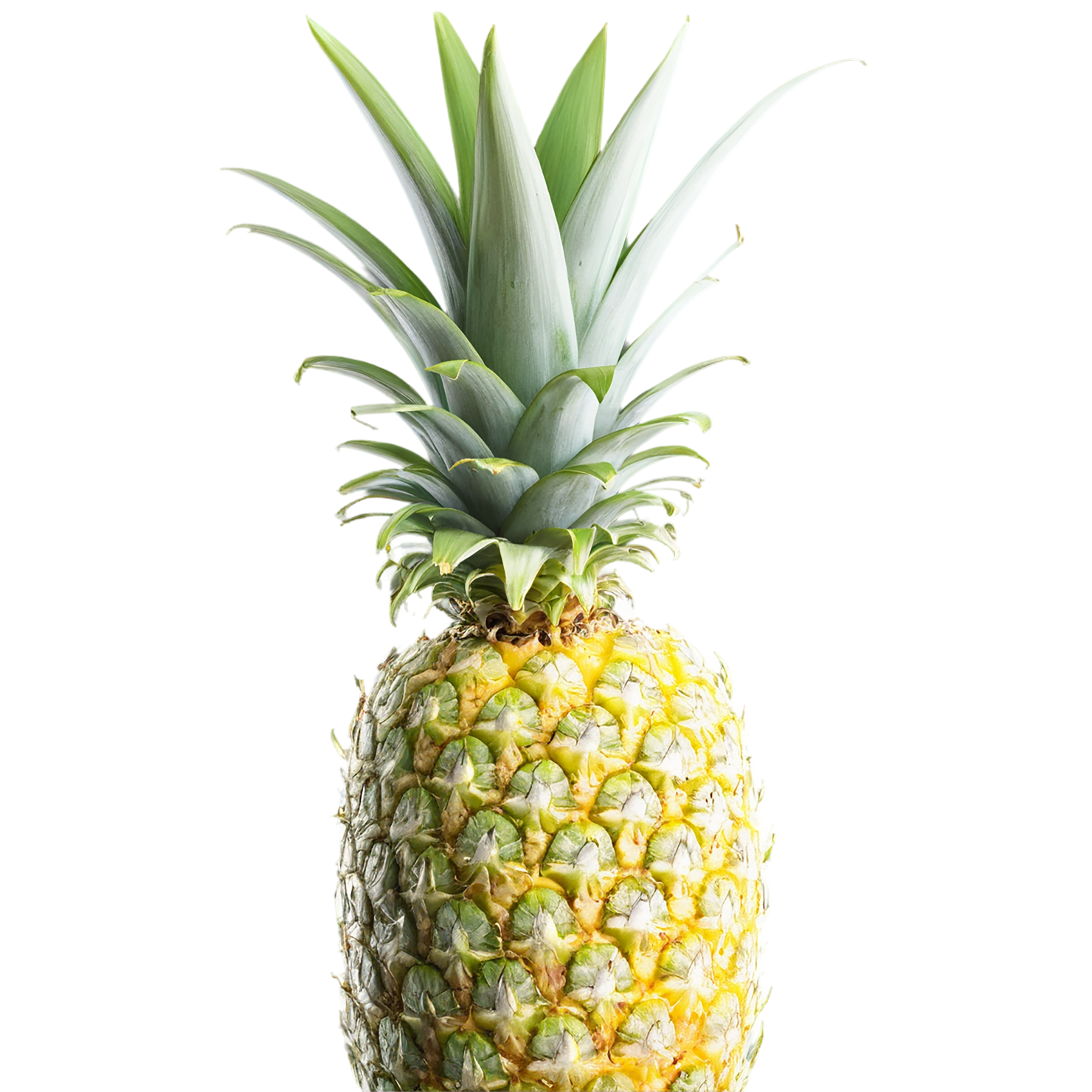 Pineapple fruit isolated on transparent background #1463