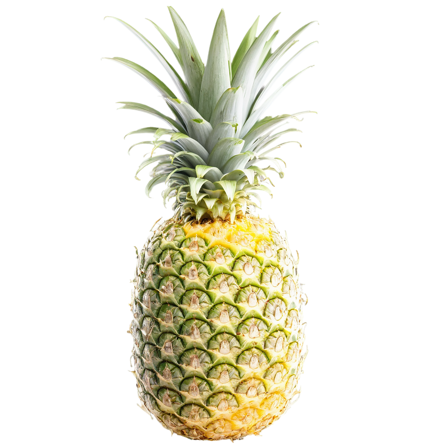 Pineapple fruit isolated on transparent background #1464