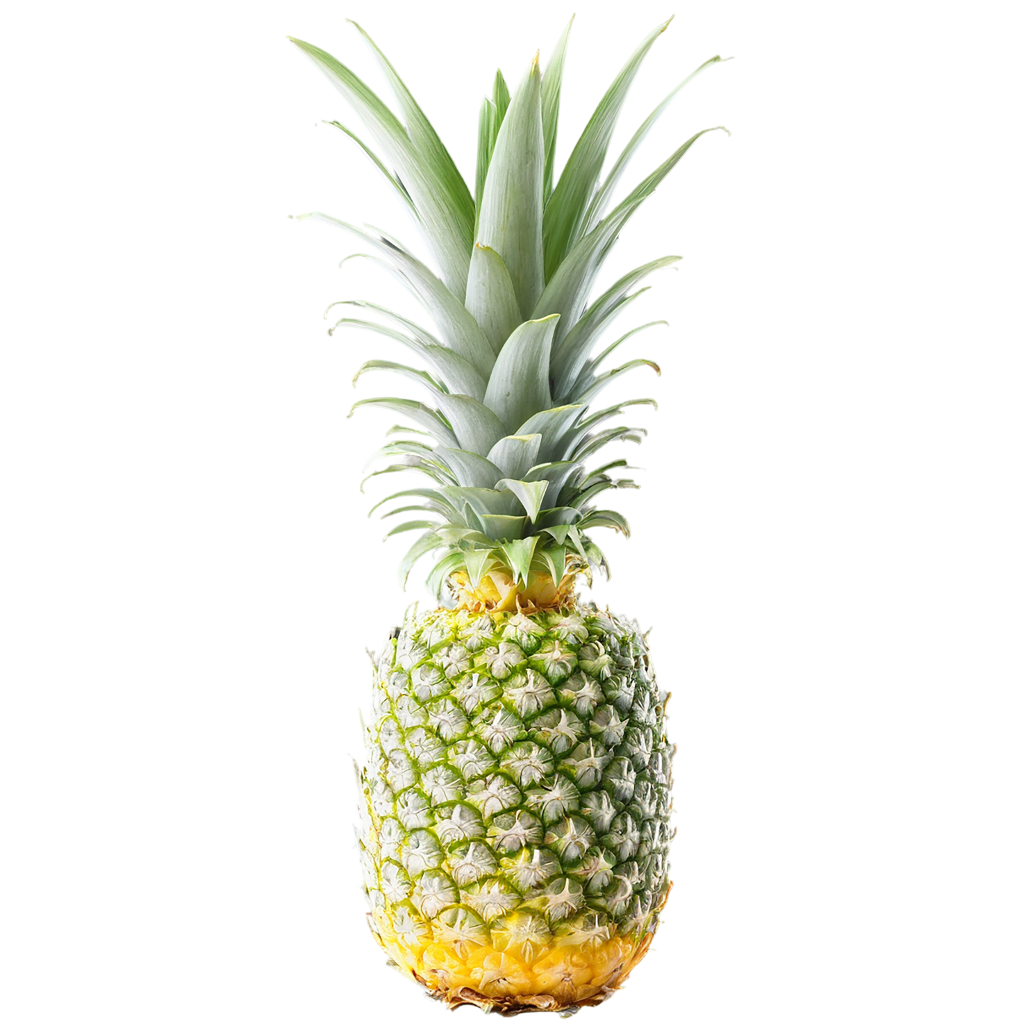 Pineapple fruit isolated on transparent background #1470