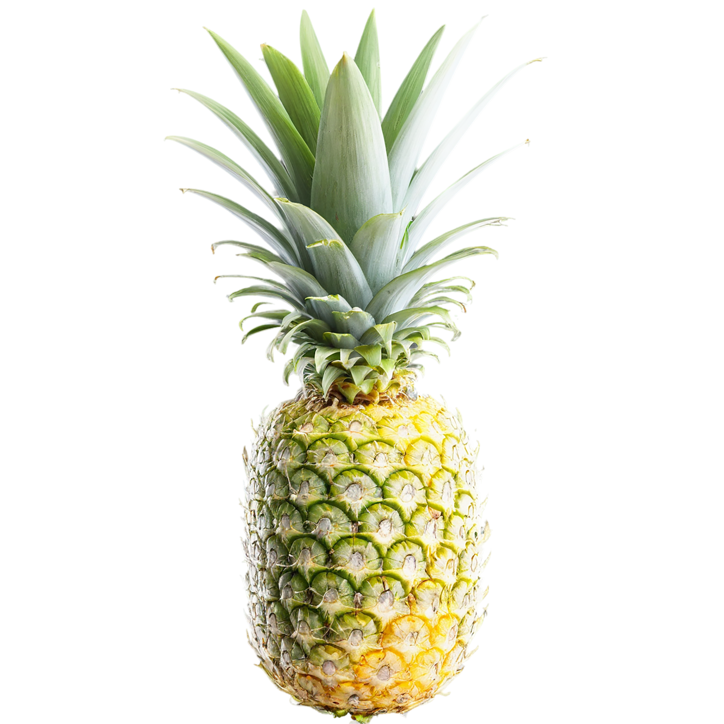 Pineapple fruit isolated on transparent background #1471