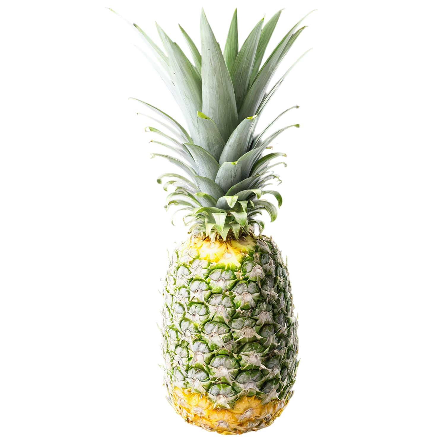 Pineapple fruit isolated on transparent background #1472