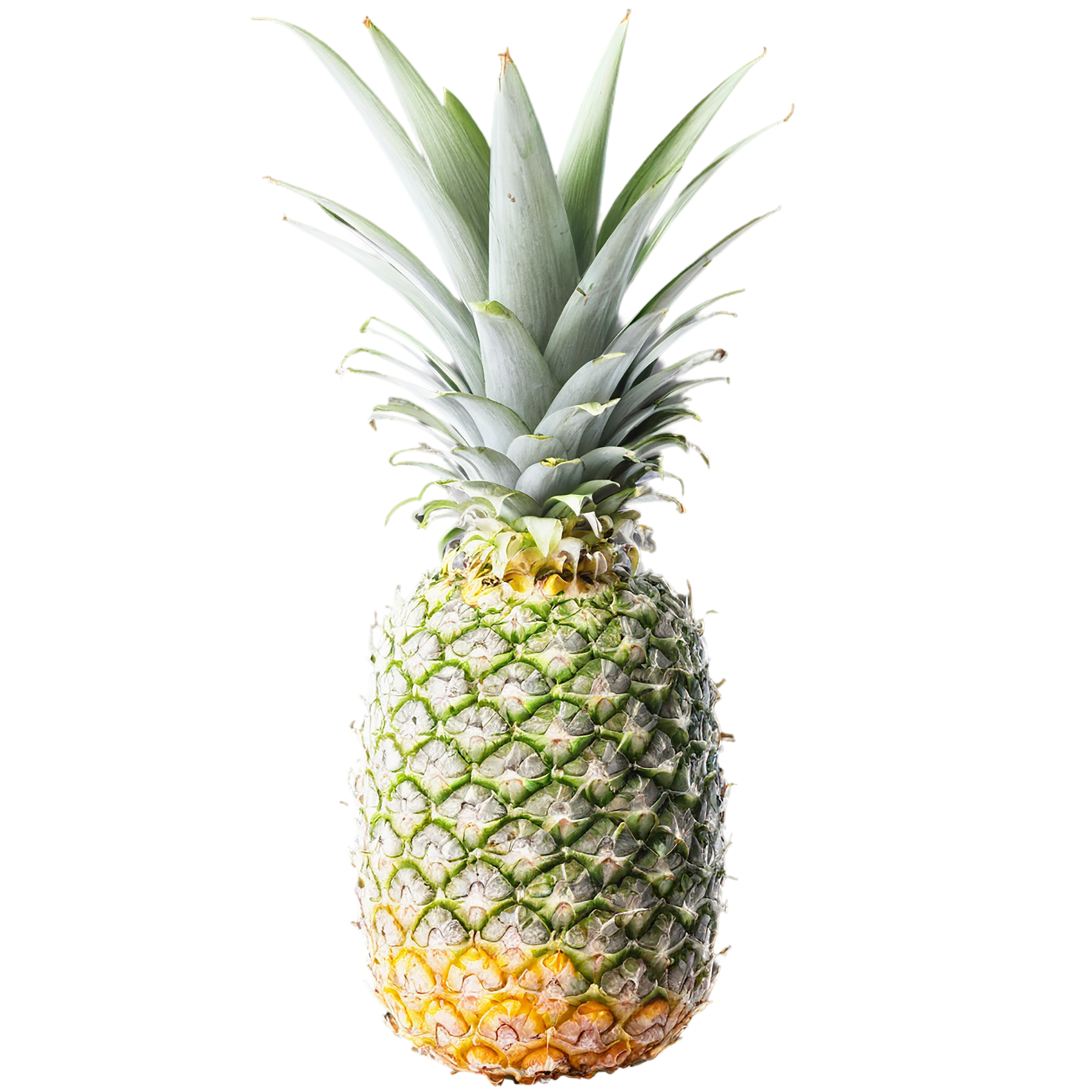 Pineapple fruit isolated on transparent background #1473