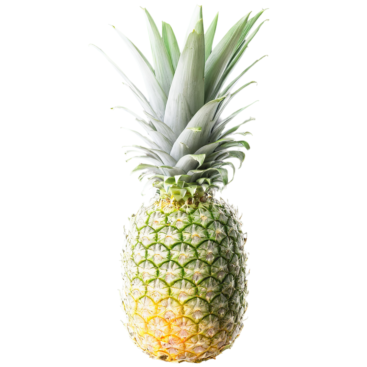 Pineapple fruit isolated on transparent background #1474