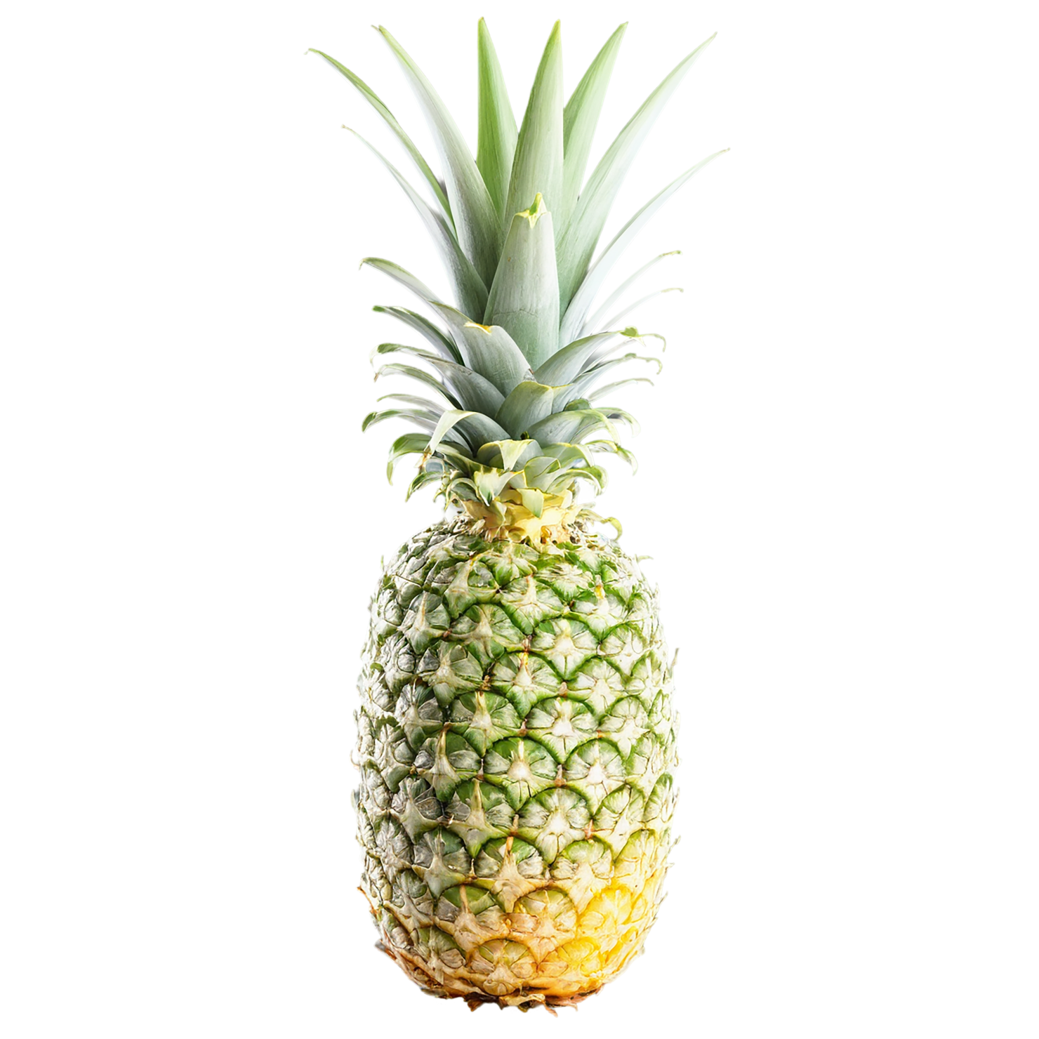 Pineapple fruit isolated on transparent background #1475