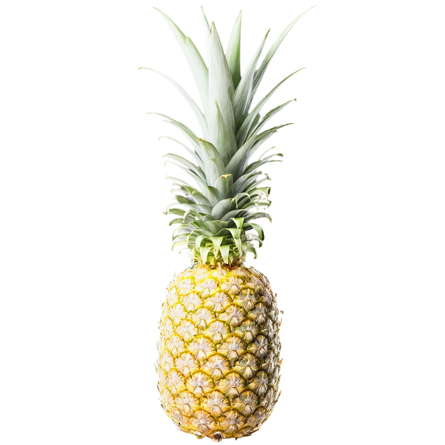 Pineapple fruit isolated on transparent background #1478