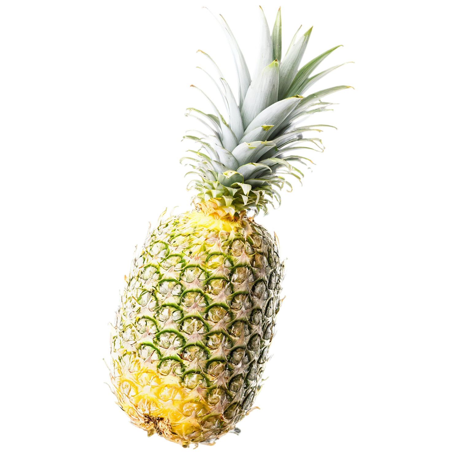 Pineapple fruit isolated on transparent background #1479