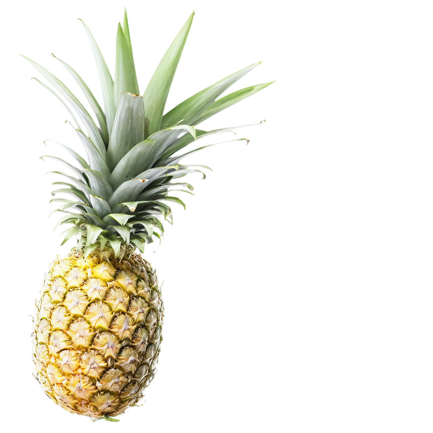 Pineapple fruit isolated on transparent background #1482